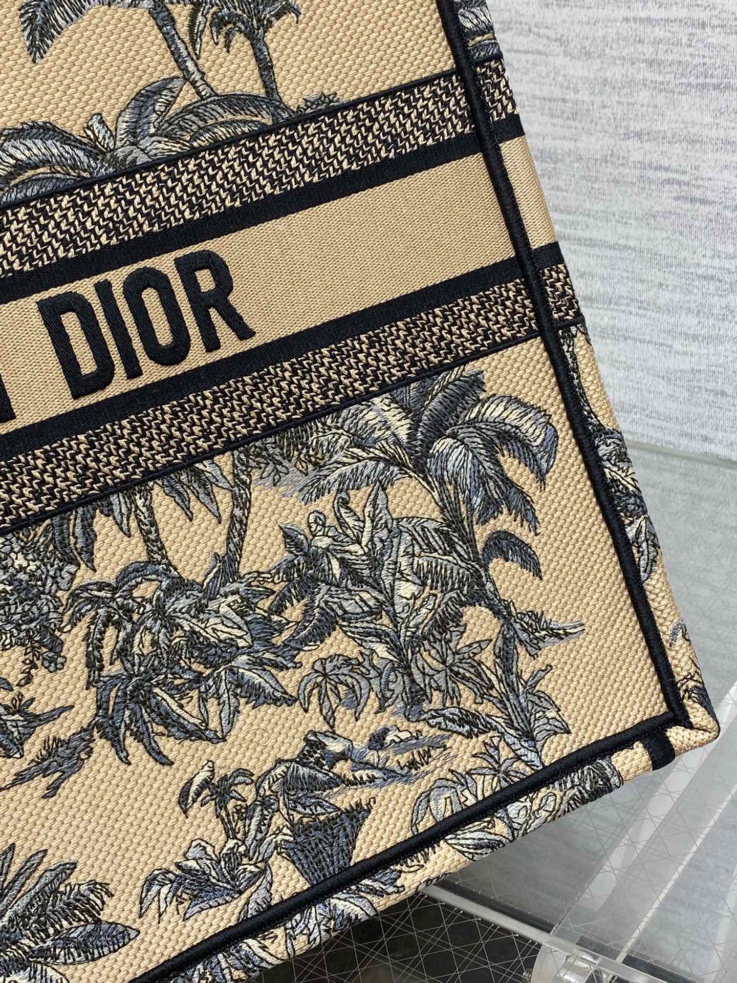 BAG-DIOR-W-LY-902