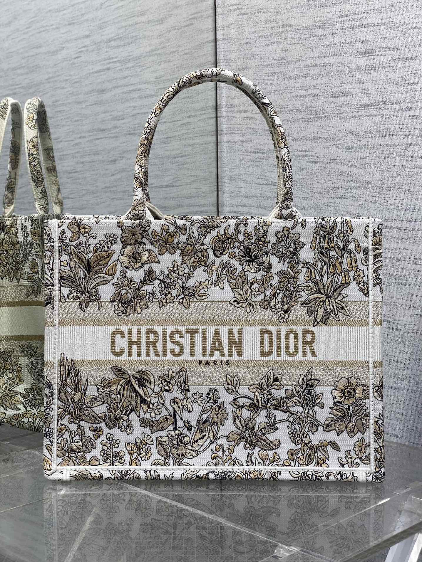 BAG-DIOR-W-LY-838