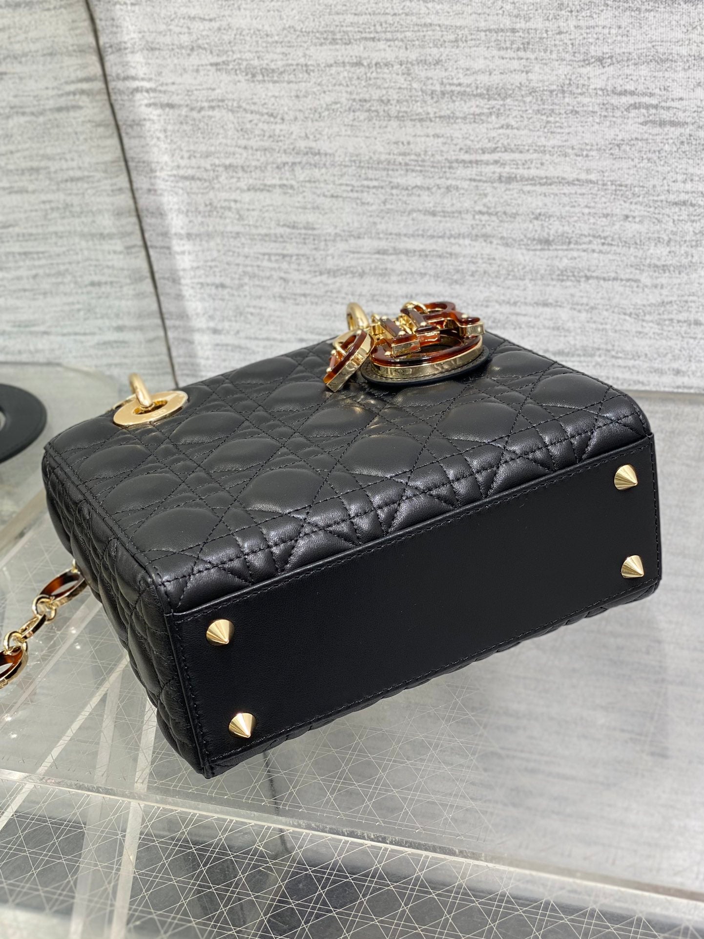 BAG-DIOR-W-LY-008