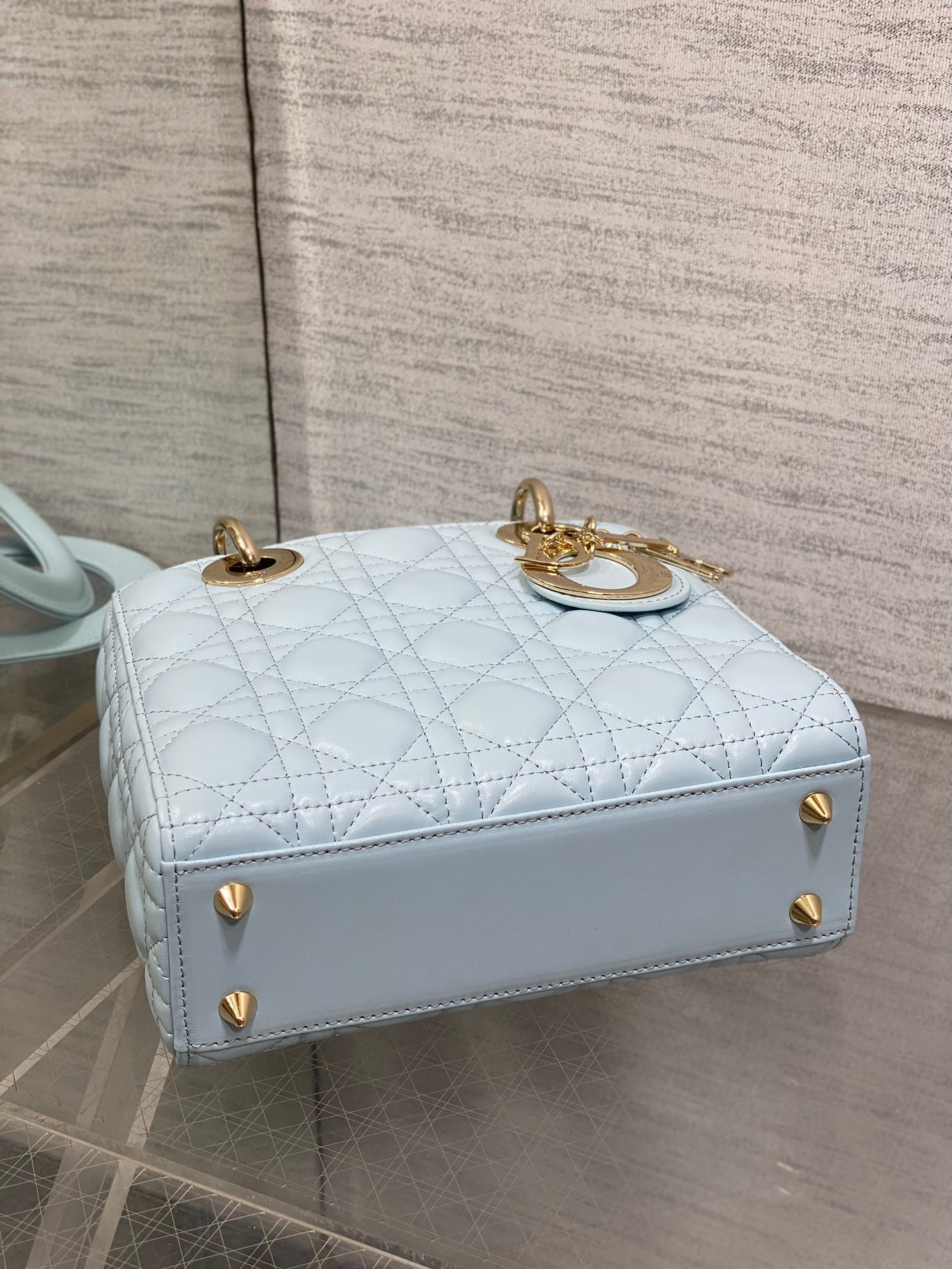 BAG-DIOR-W-LY-768