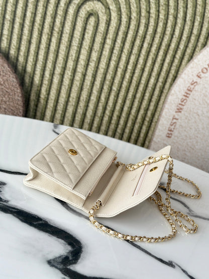 BAG-CHANEL-186