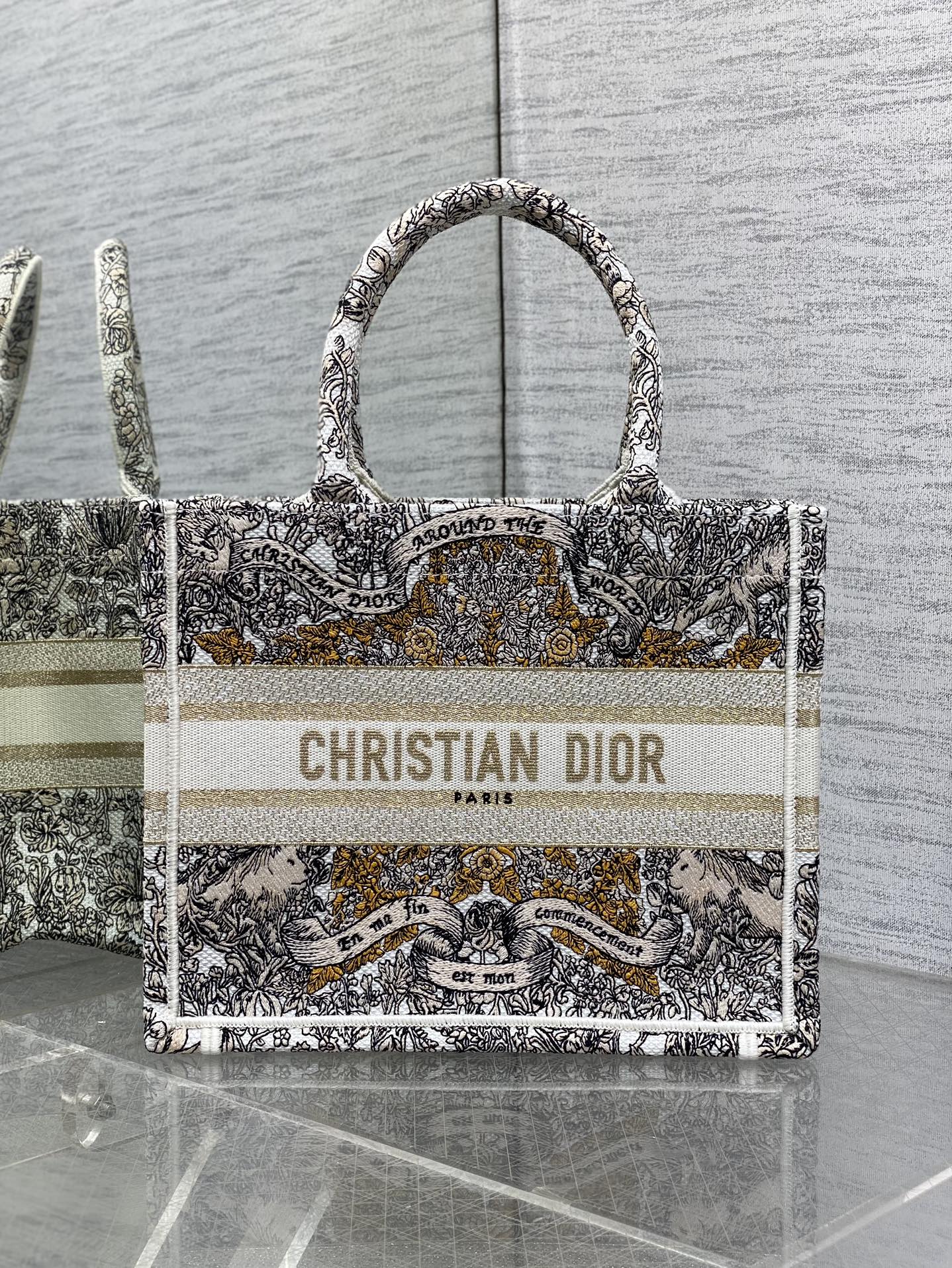 BAG-DIOR-W-LY-820