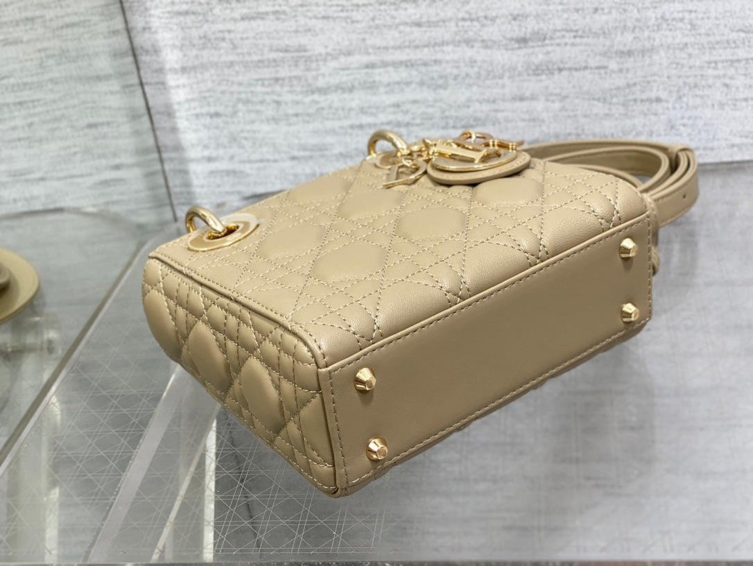 BAG-DIOR-W-LY-536