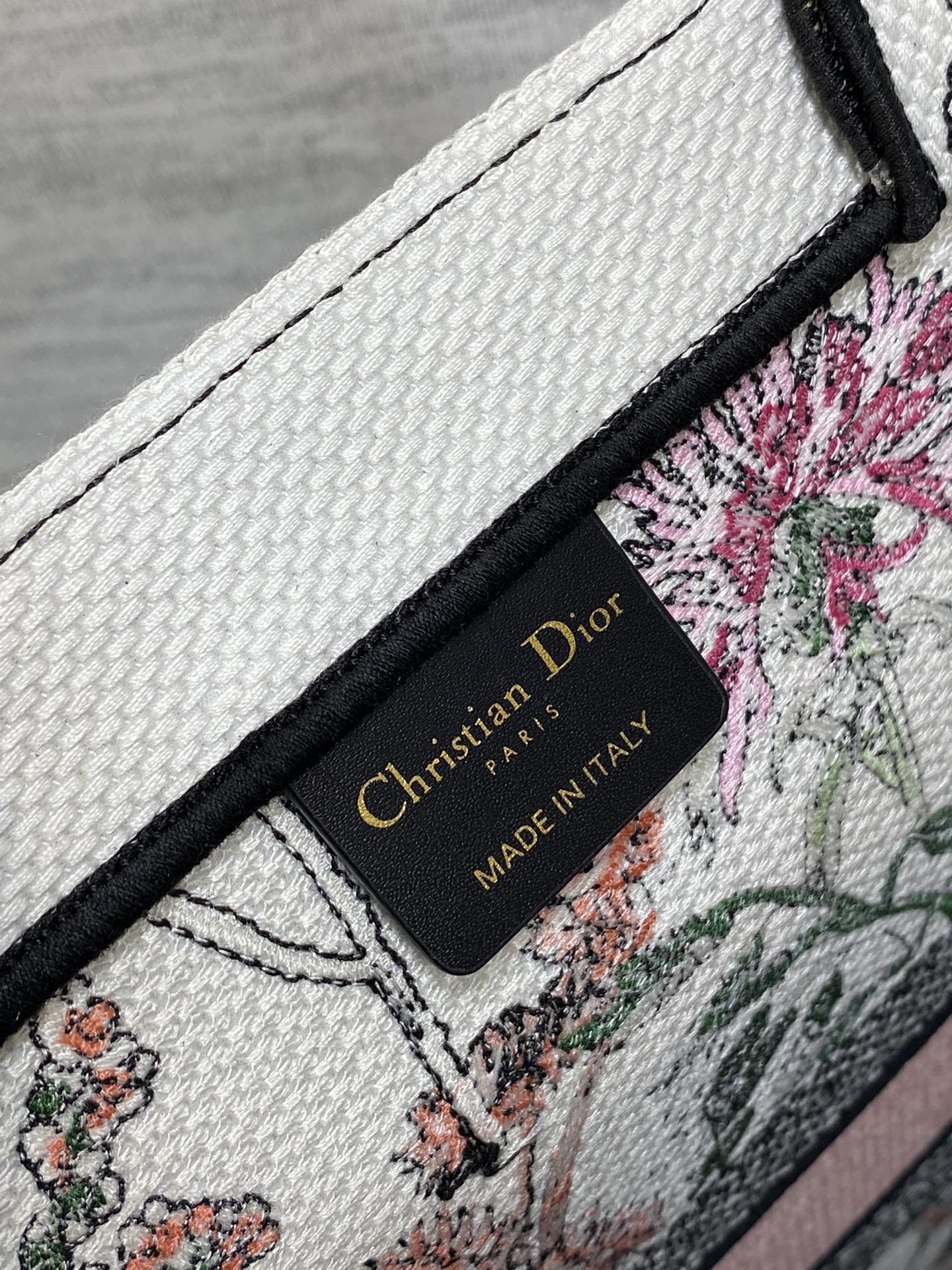BAG-DIOR-W-LY-827