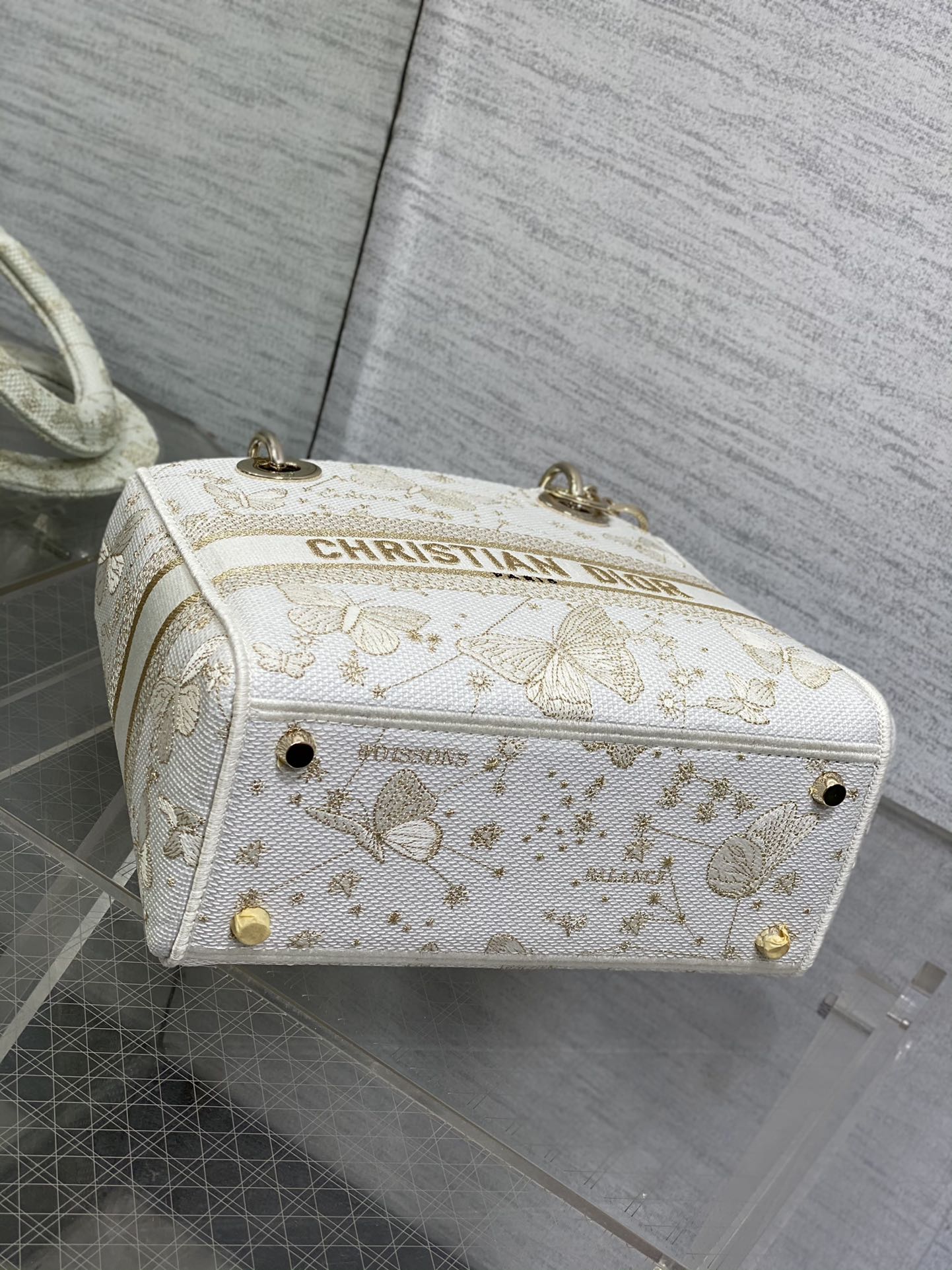 BAG-DIOR-W-LY-448