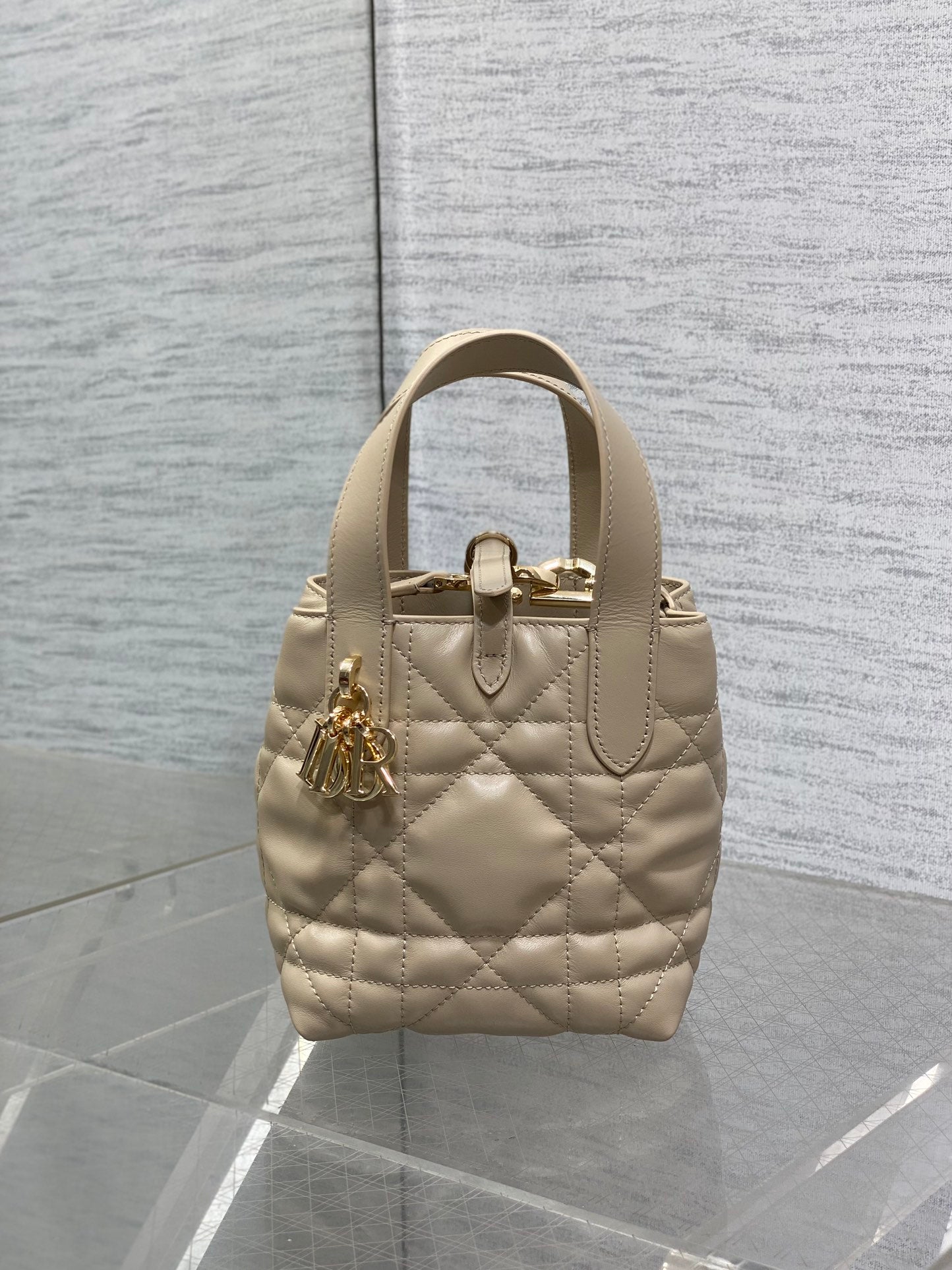 BAG-DIOR-W-LY-058