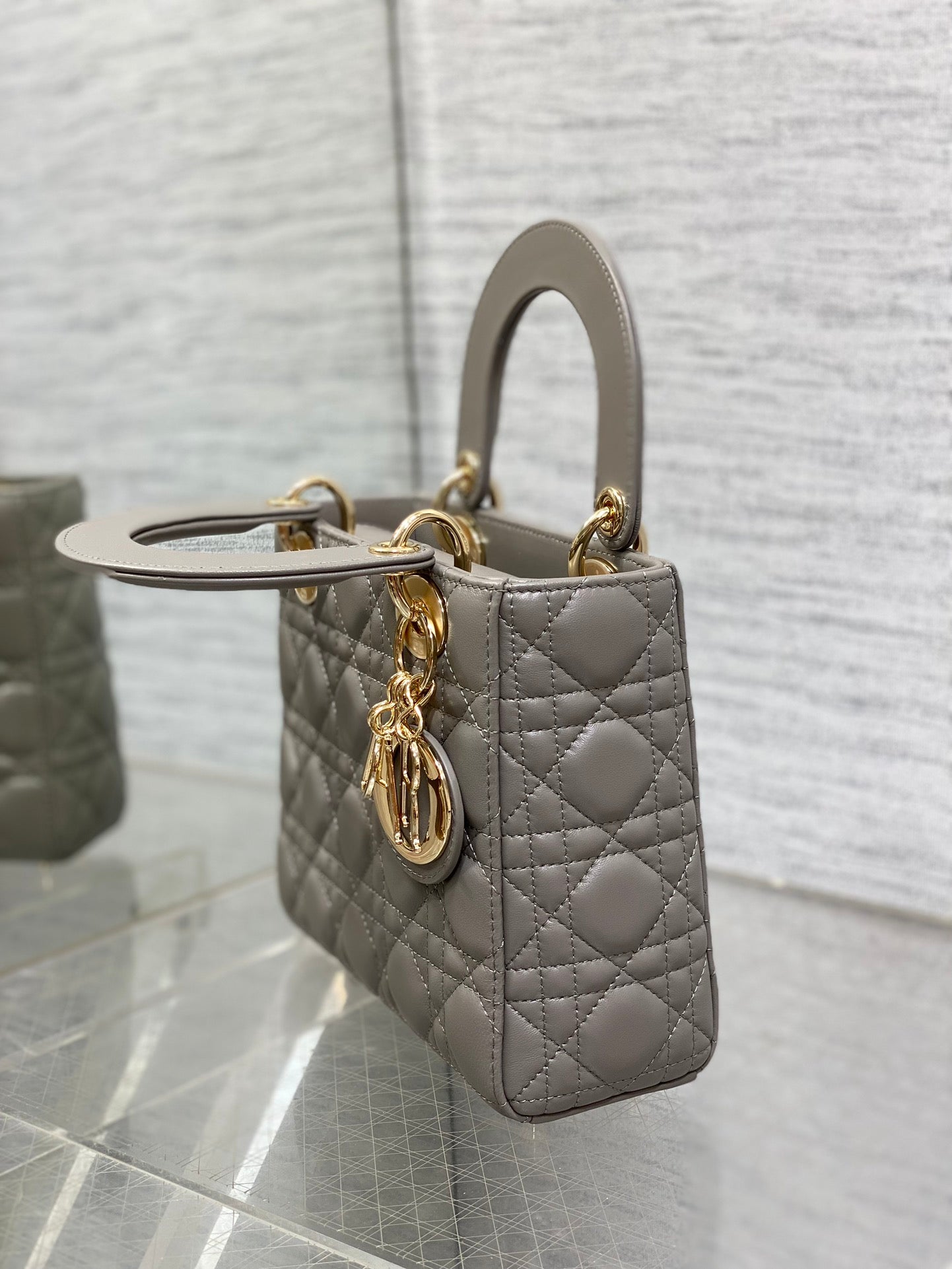 BAG-DIOR-W-LY-541