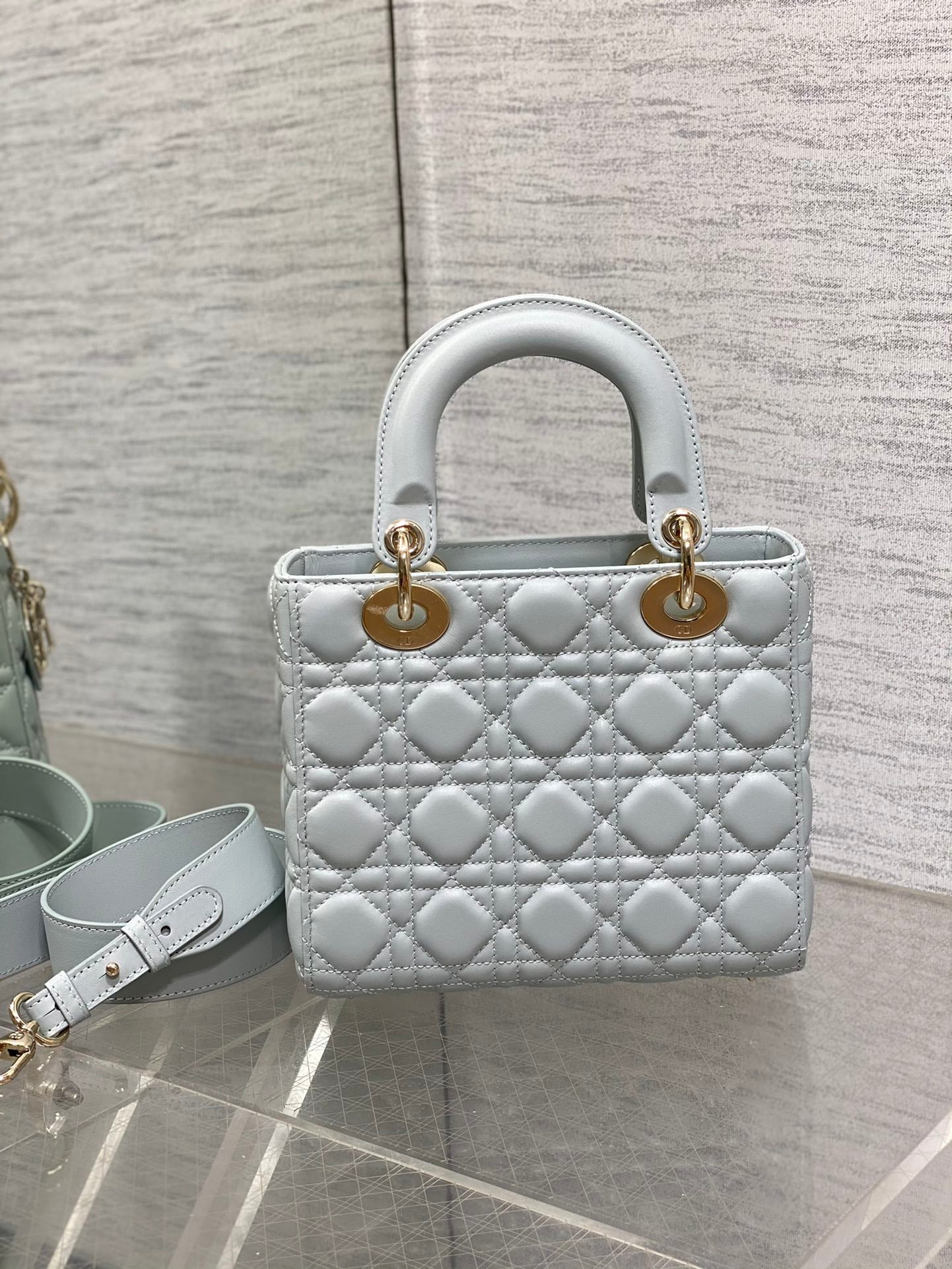 BAG-DIOR-W-LY-669