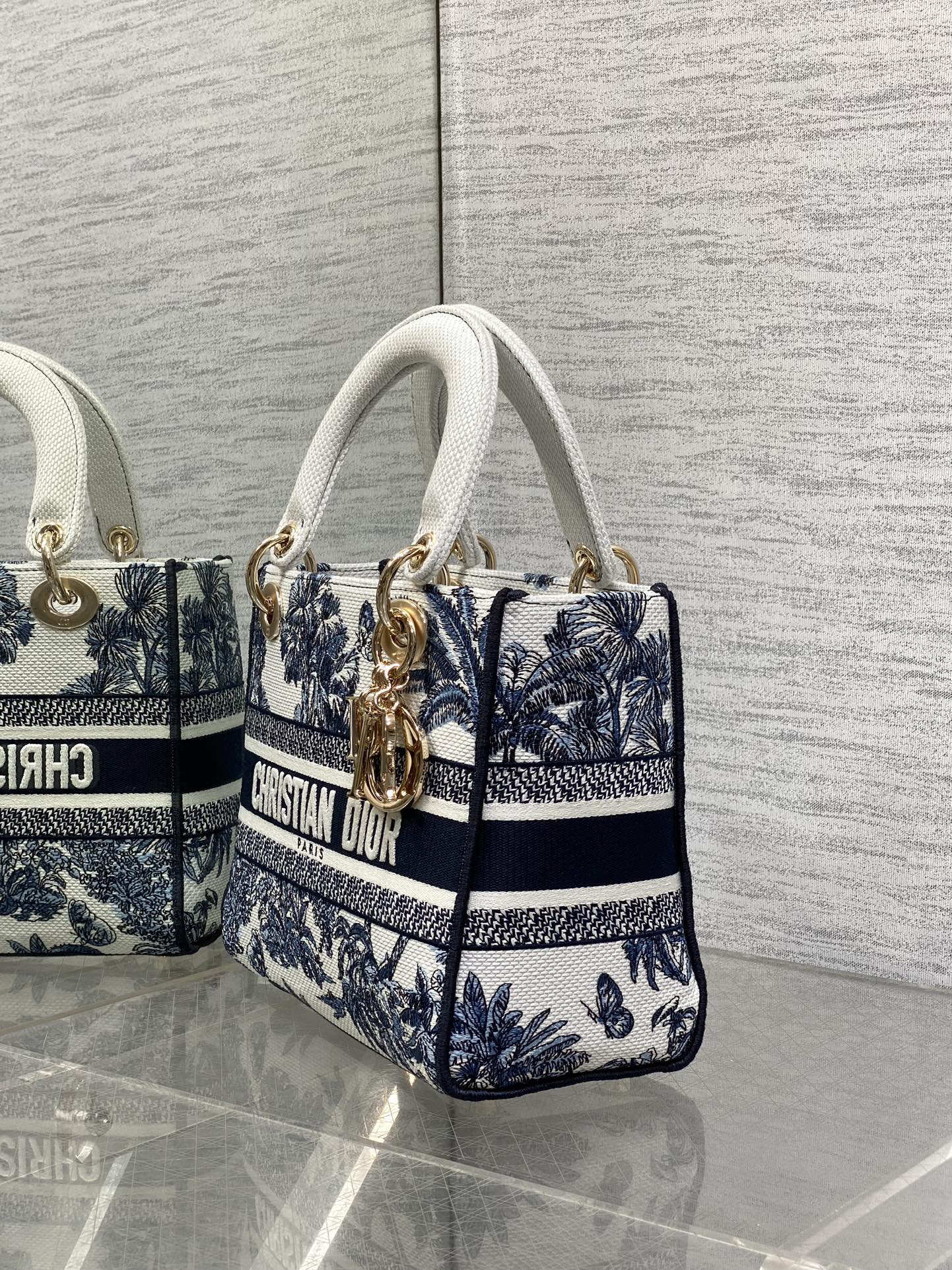BAG-DIOR-W-LY-515