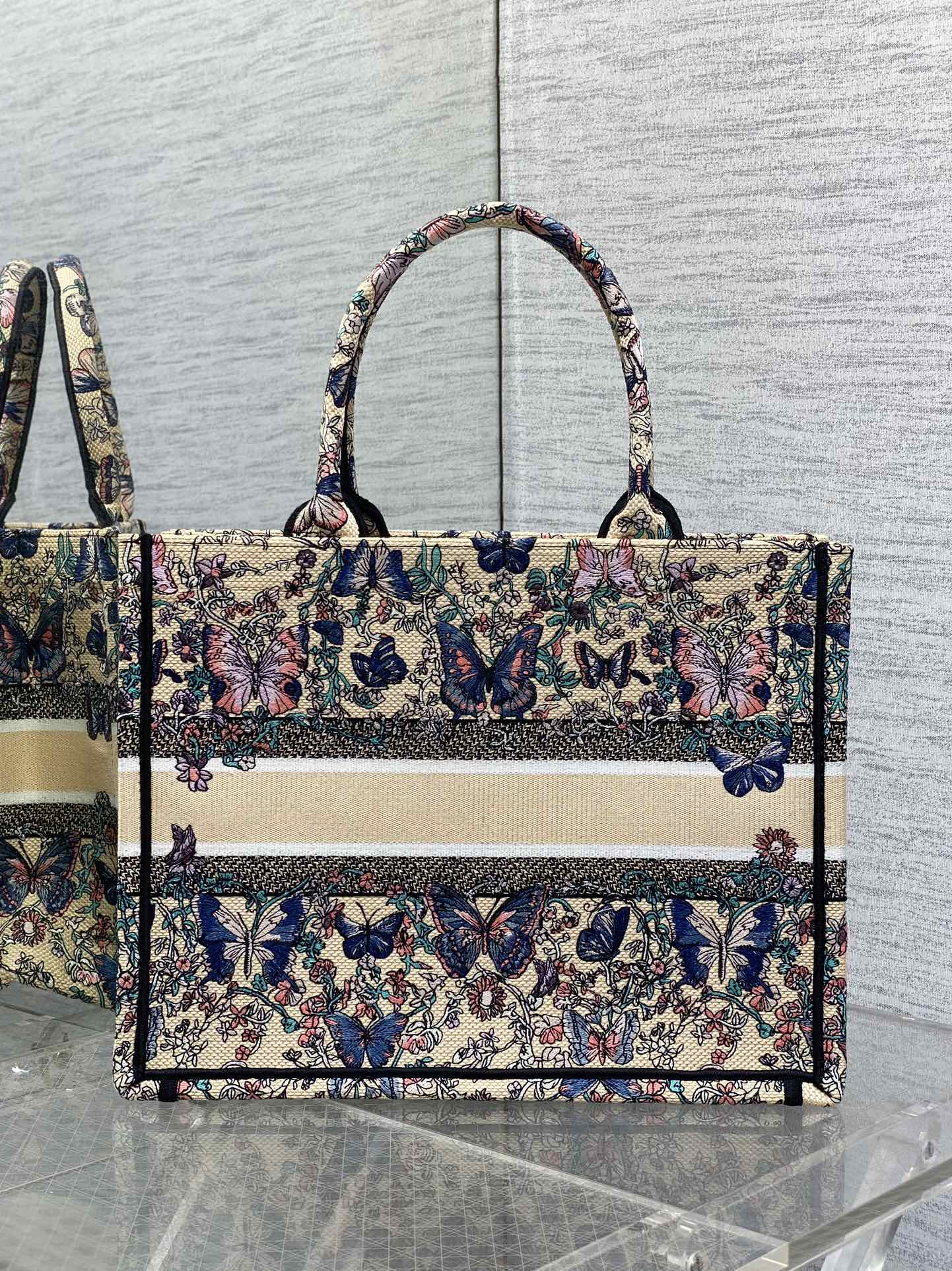 BAG-DIOR-W-LY-210