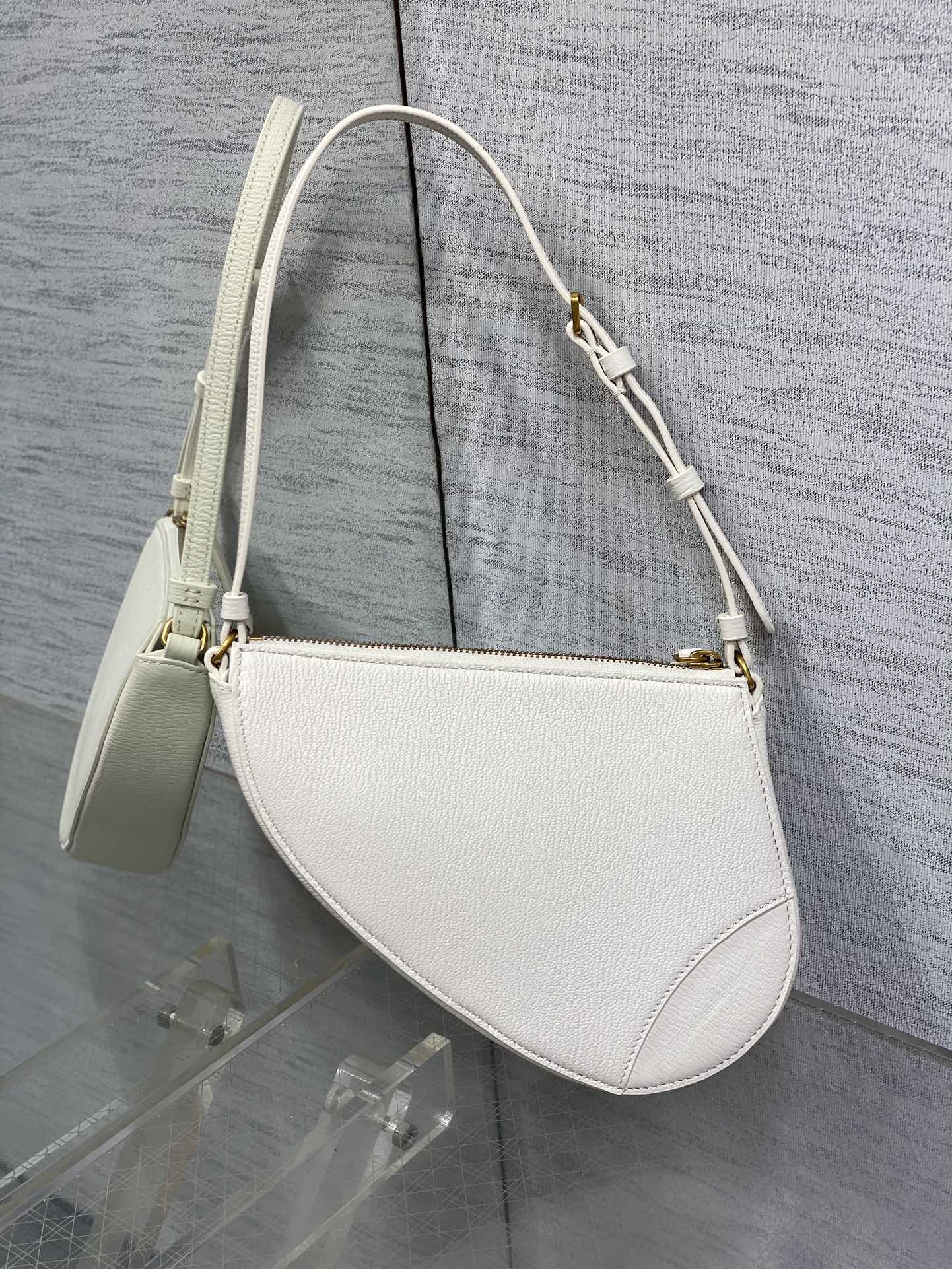 BAG-DIOR-W-LY-060