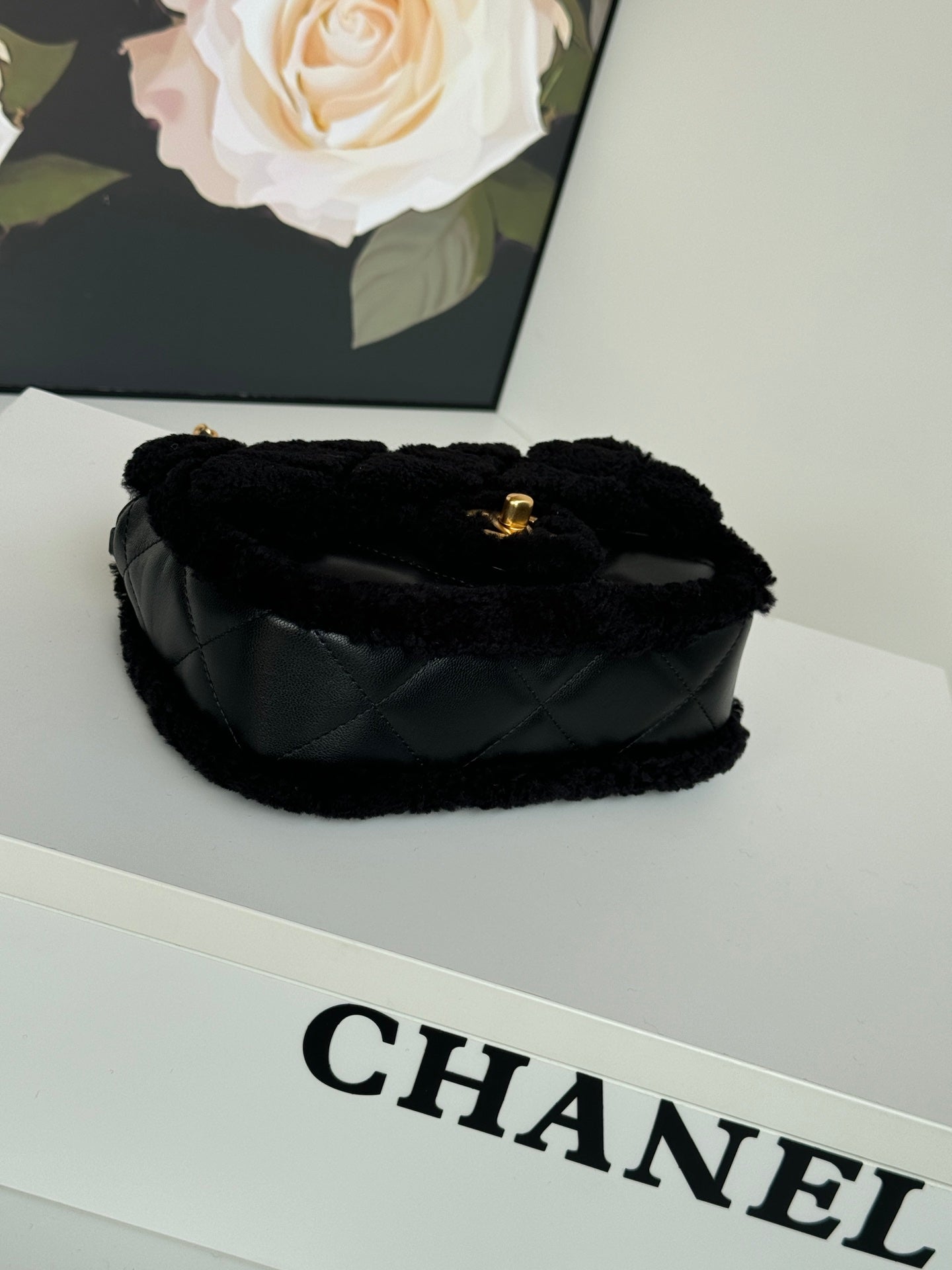 BAG-CHANEL-165