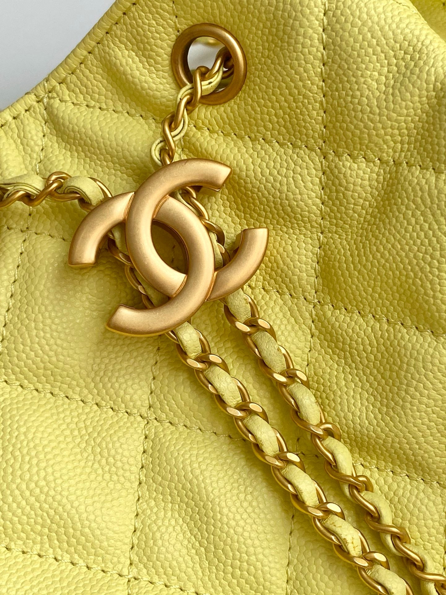 BAG-CHANEL-221