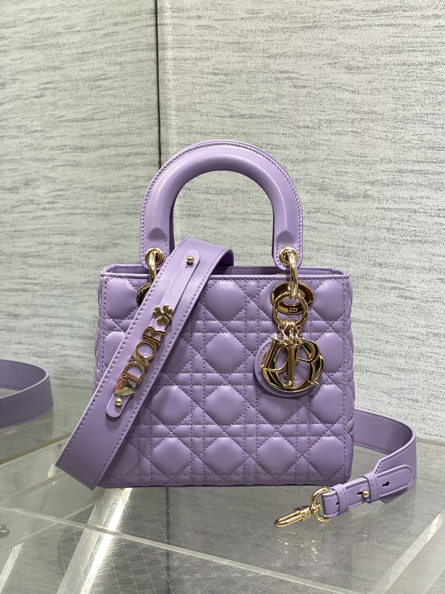BAG-DIOR-W-LY-771