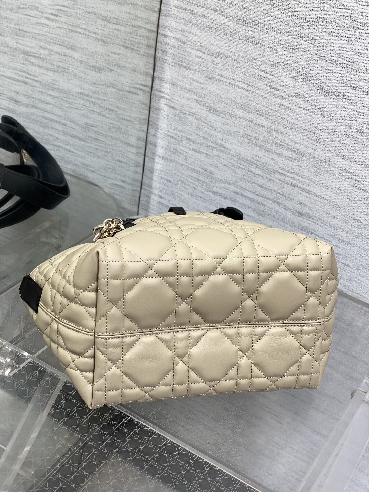 BAG-DIOR-W-LY-155
