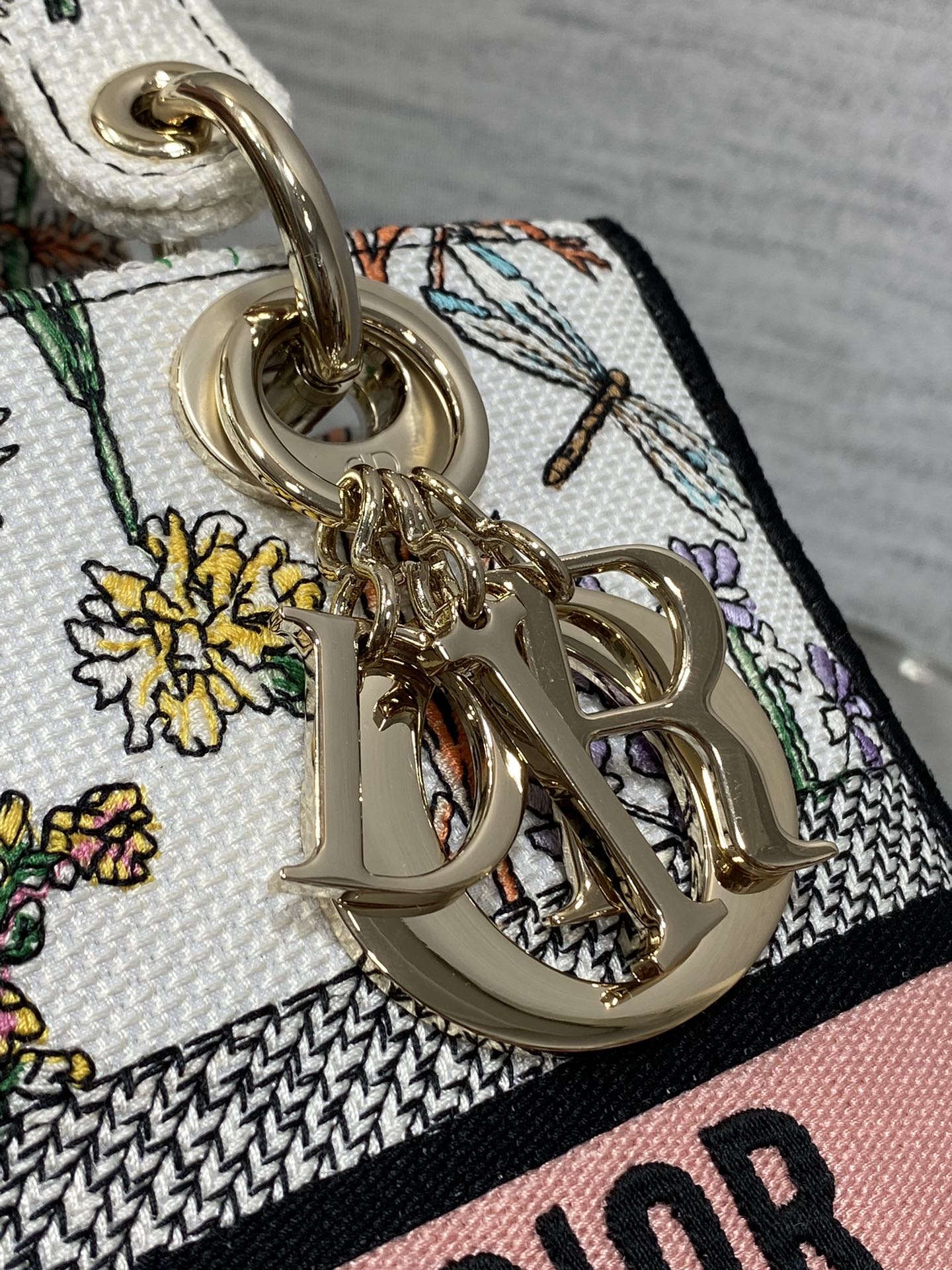 BAG-DIOR-W-LY-492