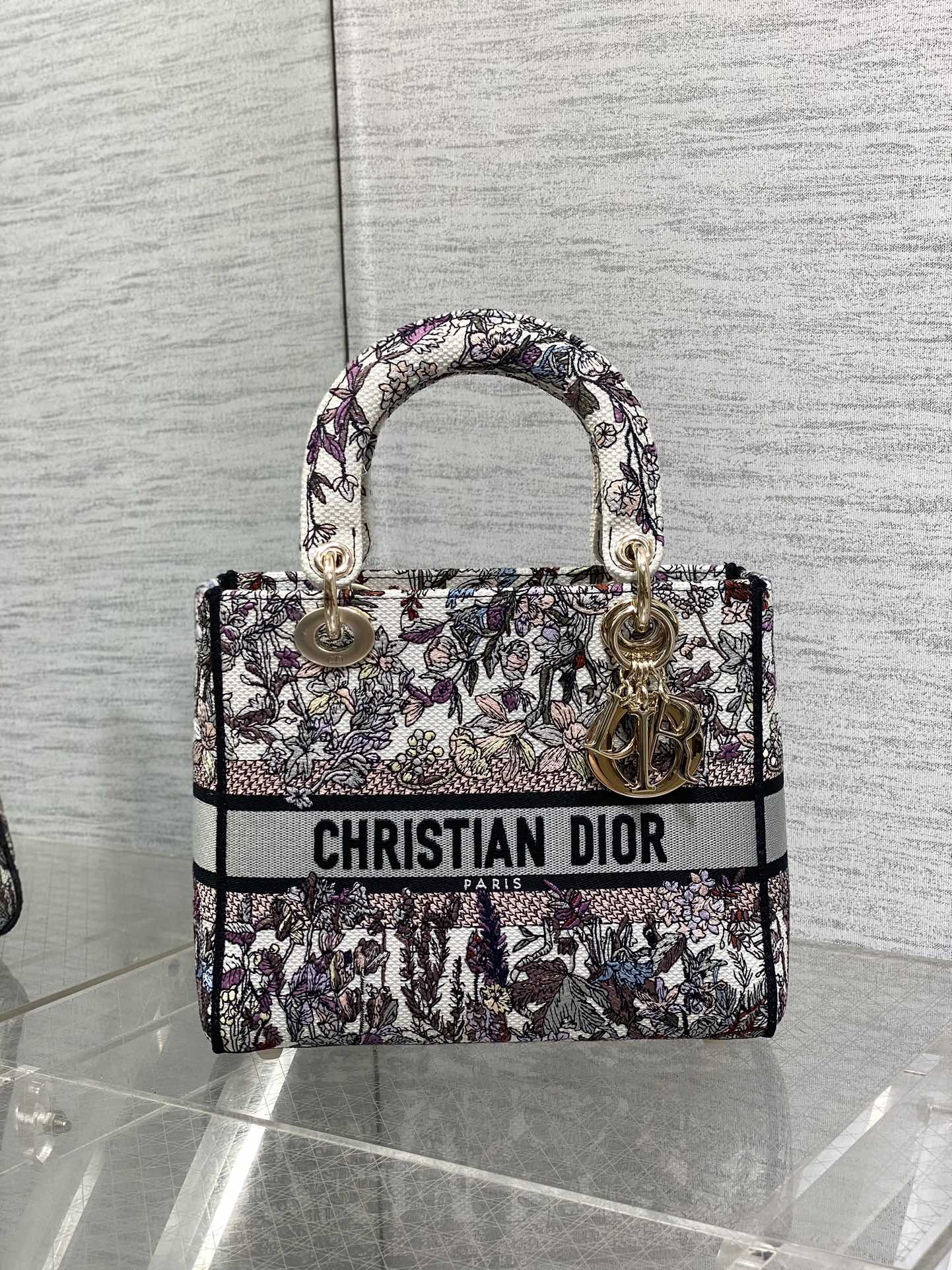 BAG-DIOR-W-LY-072