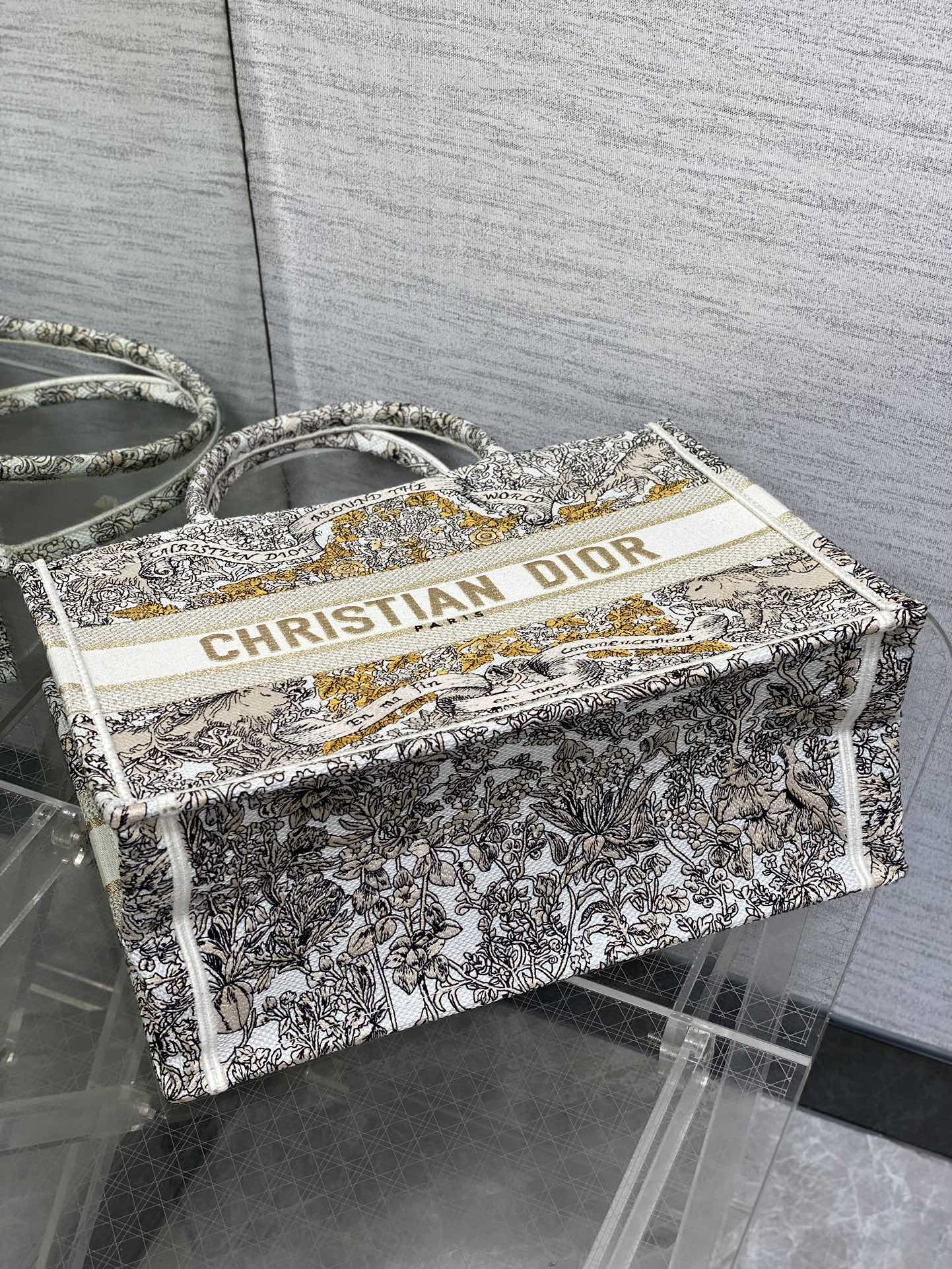 BAG-DIOR-W-LY-849