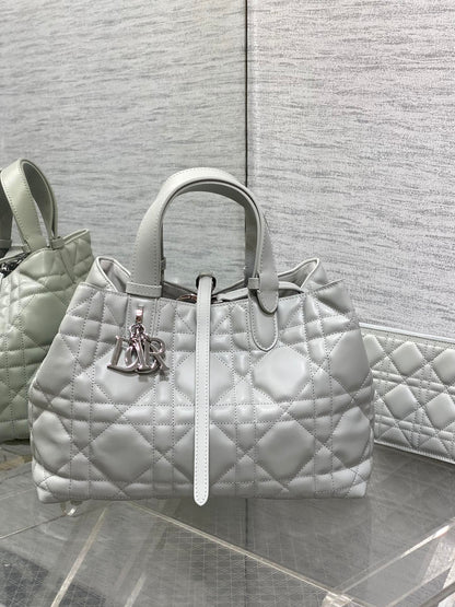 BAG-DIOR-W-LY-151