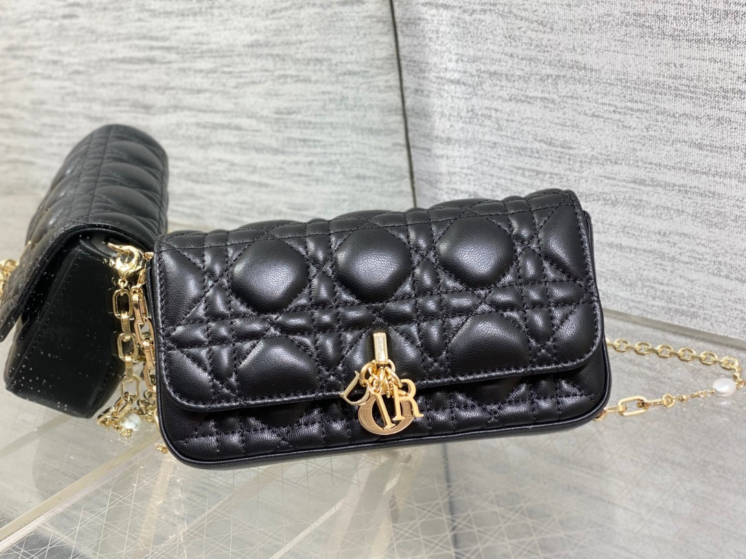 BAG-DIOR-W-LY-038