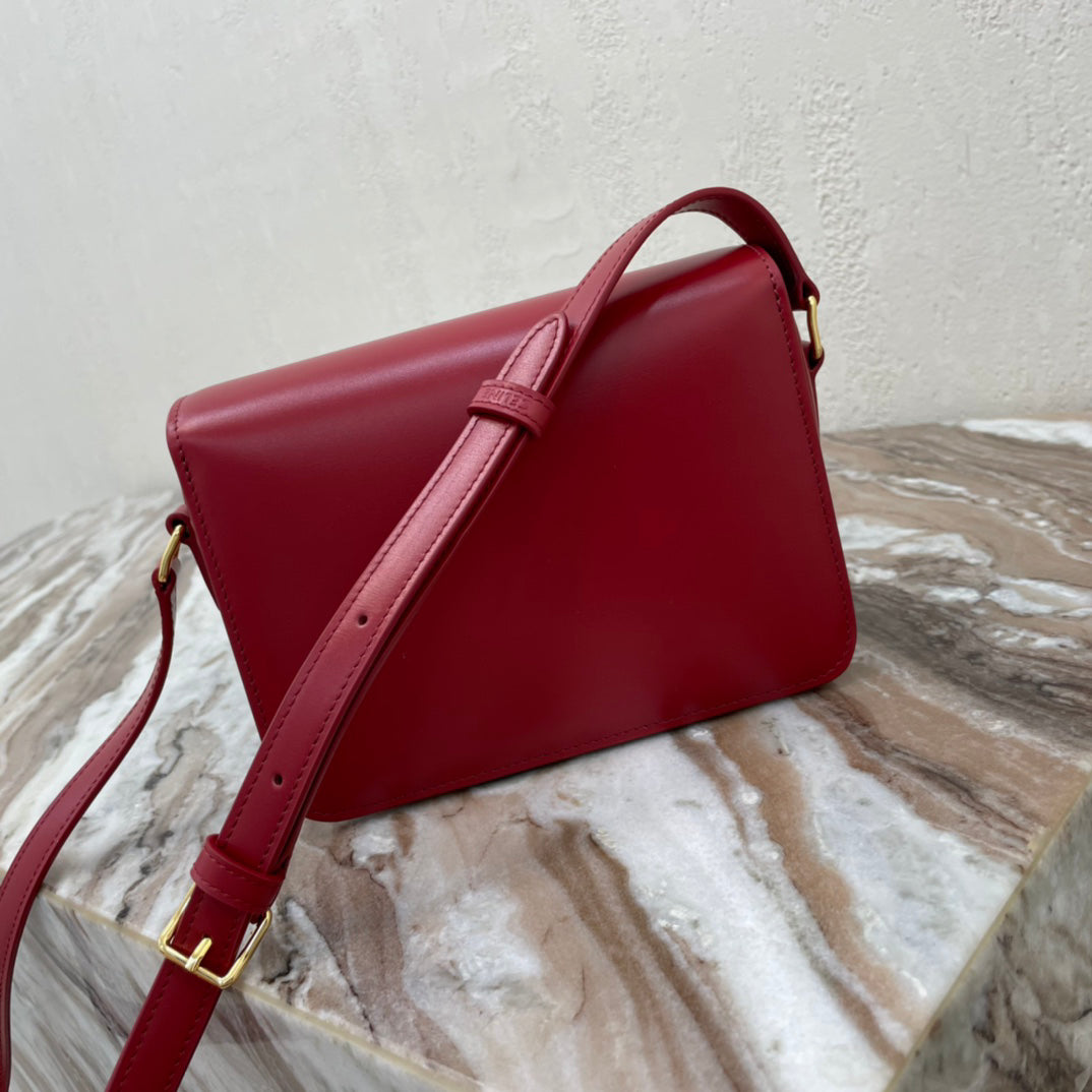 BAG-CELINE-W-NEW-1479