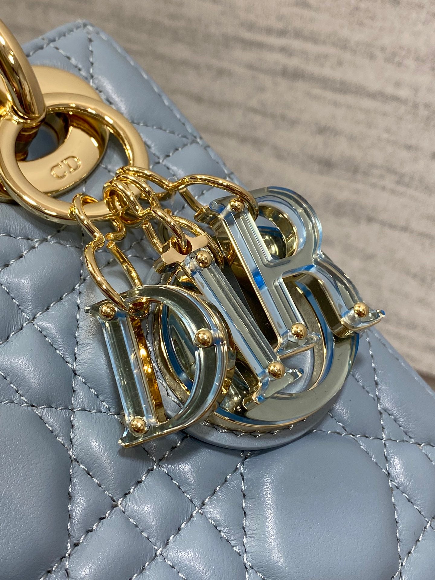 BAG-DIOR-W-LY-011