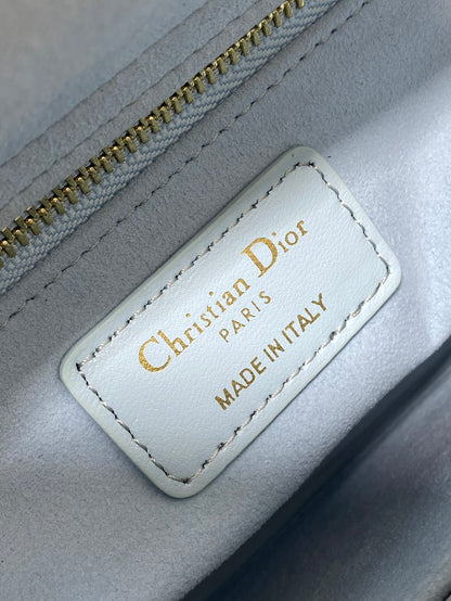 BAG-DIOR-W-LY-768
