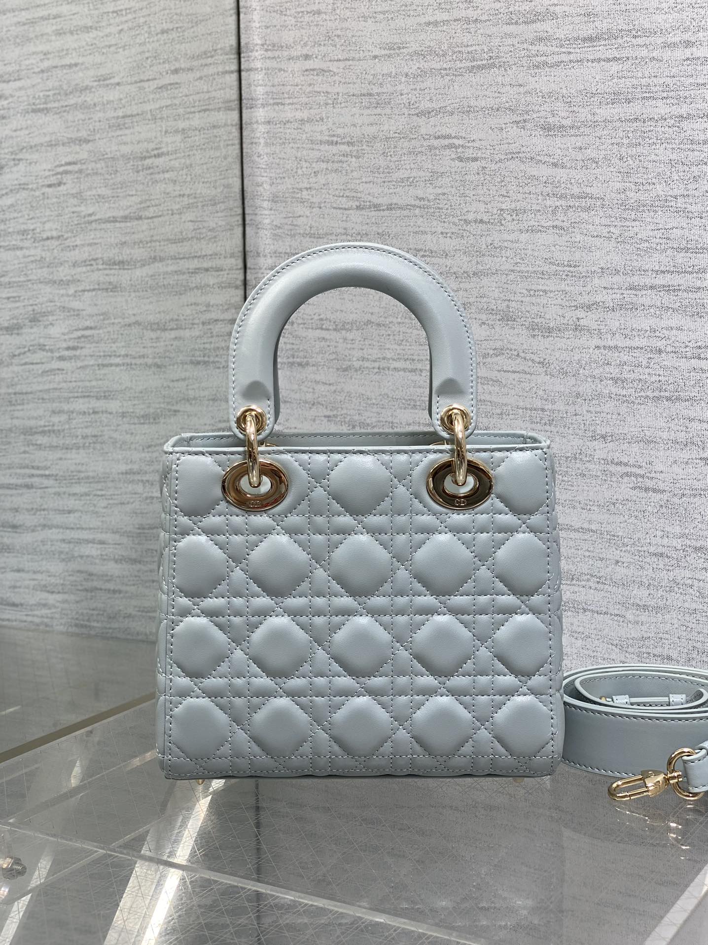 BAG-DIOR-W-LY-761