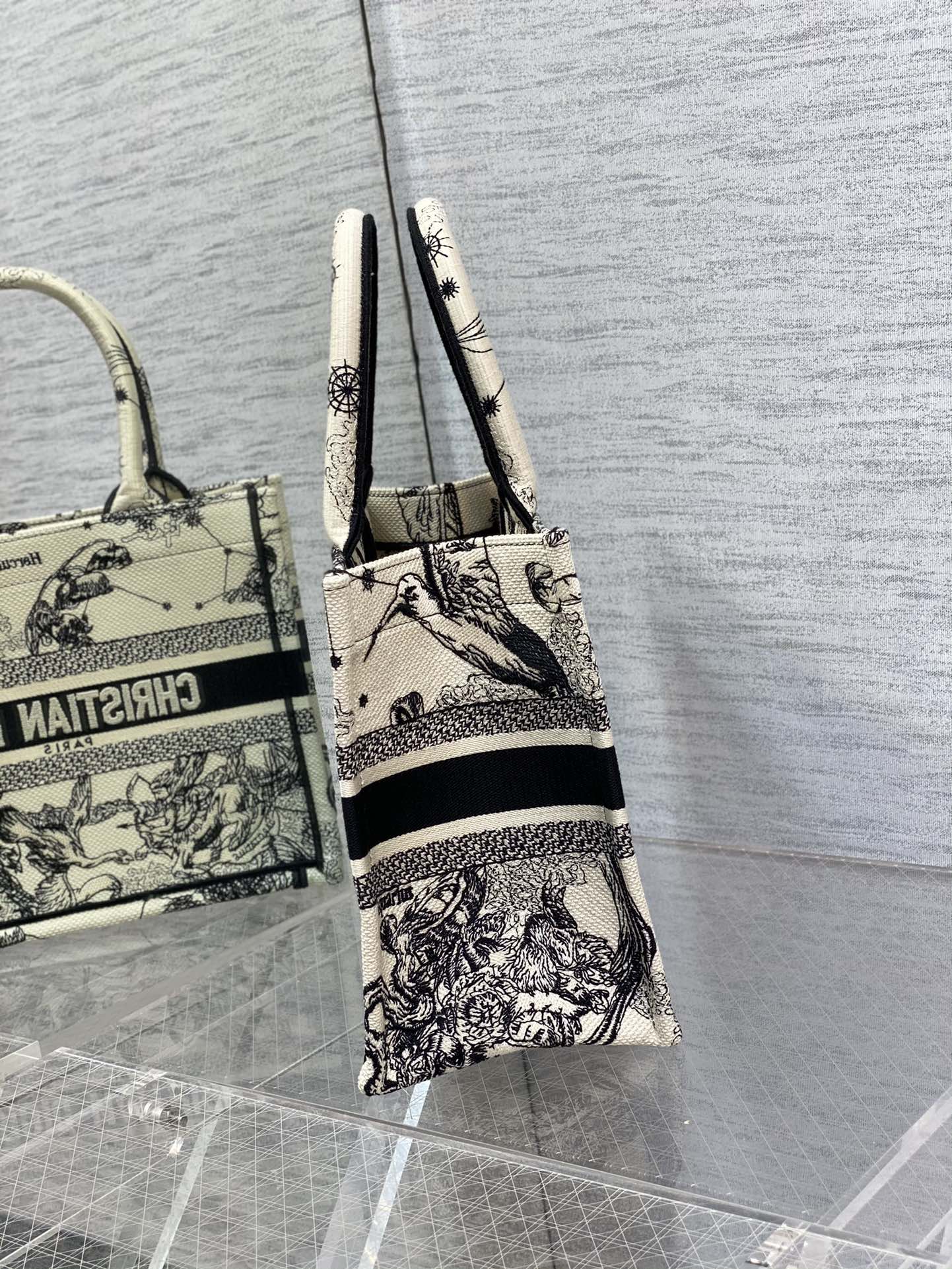 BAG-DIOR-W-LY-901
