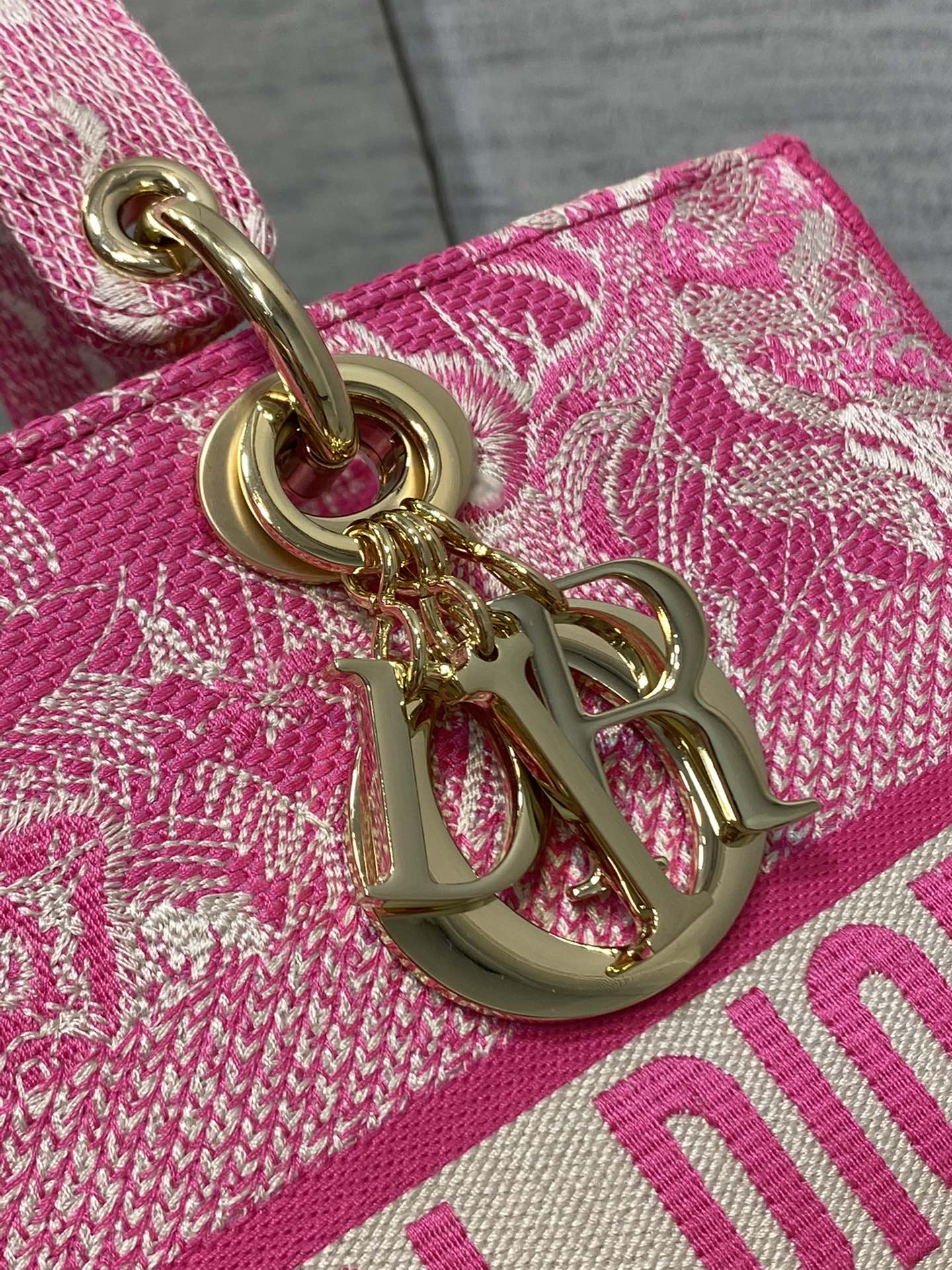 BAG-DIOR-W-LY-080
