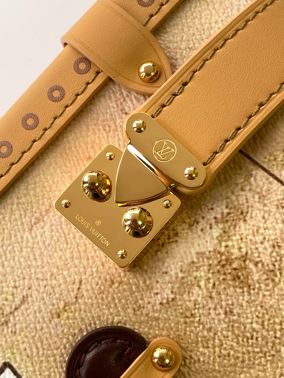 BAG-LV-W-NEW-491