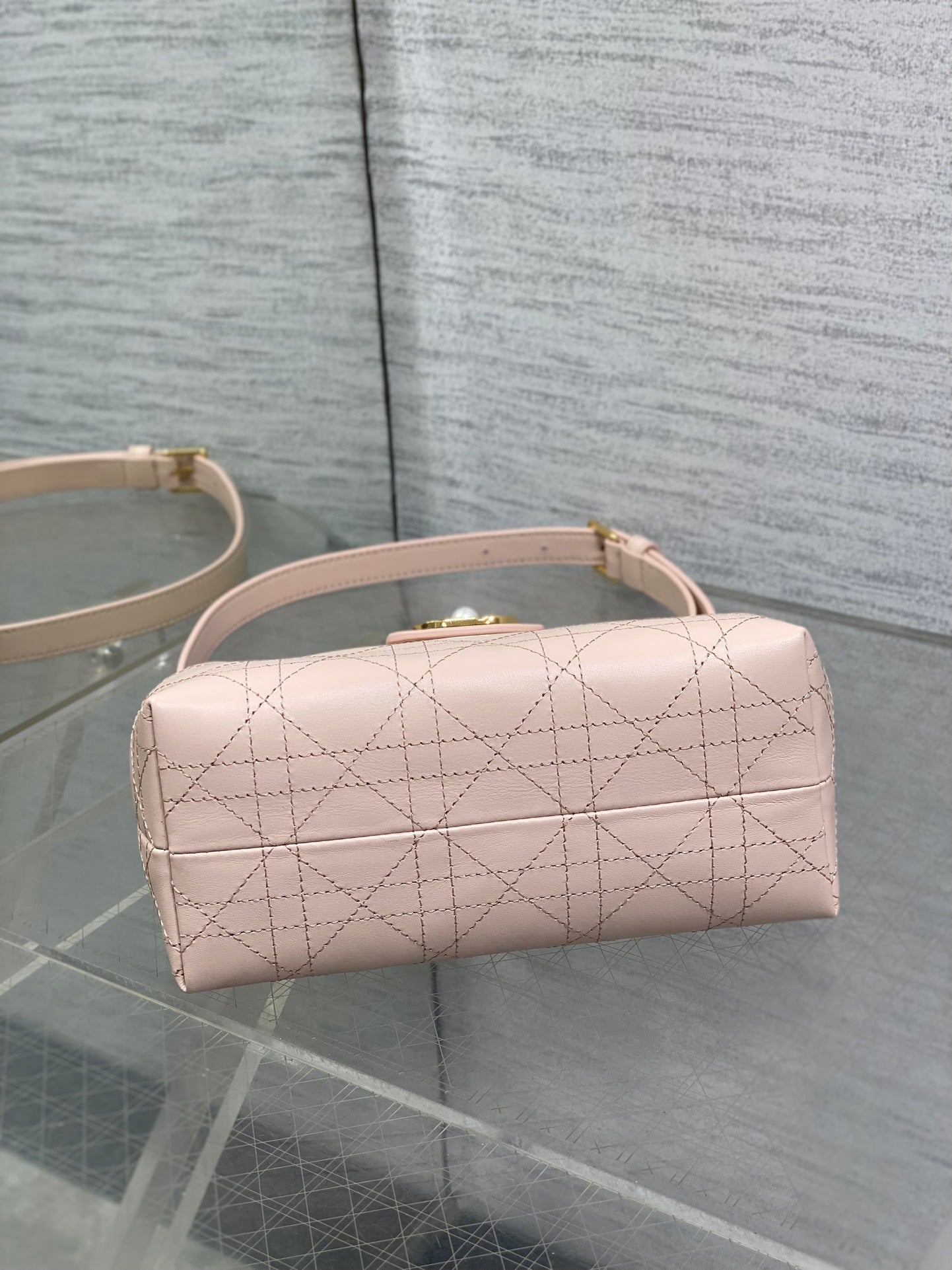 BAG-DIOR-W-LY-029
