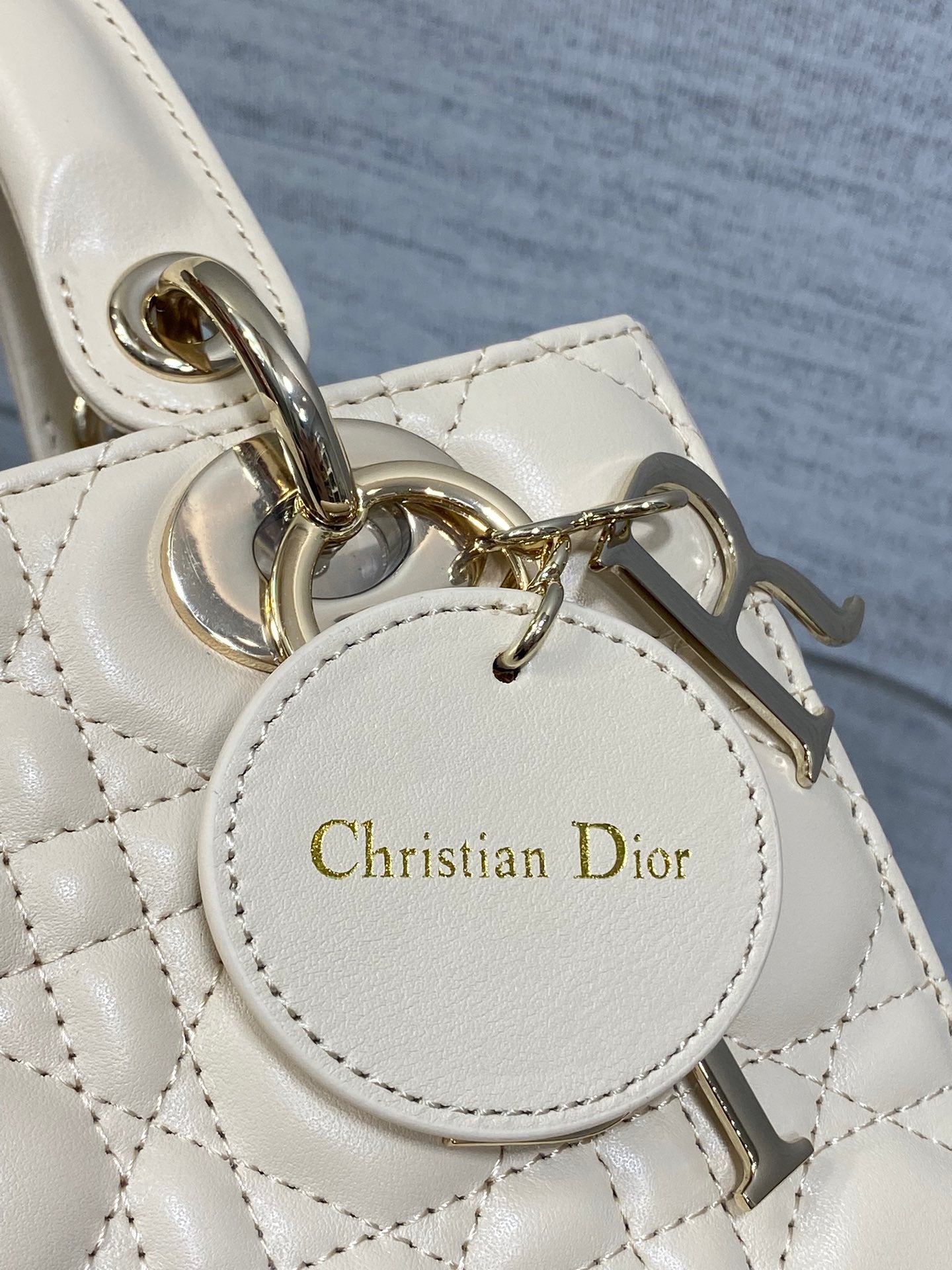 BAG-DIOR-W-LY-735
