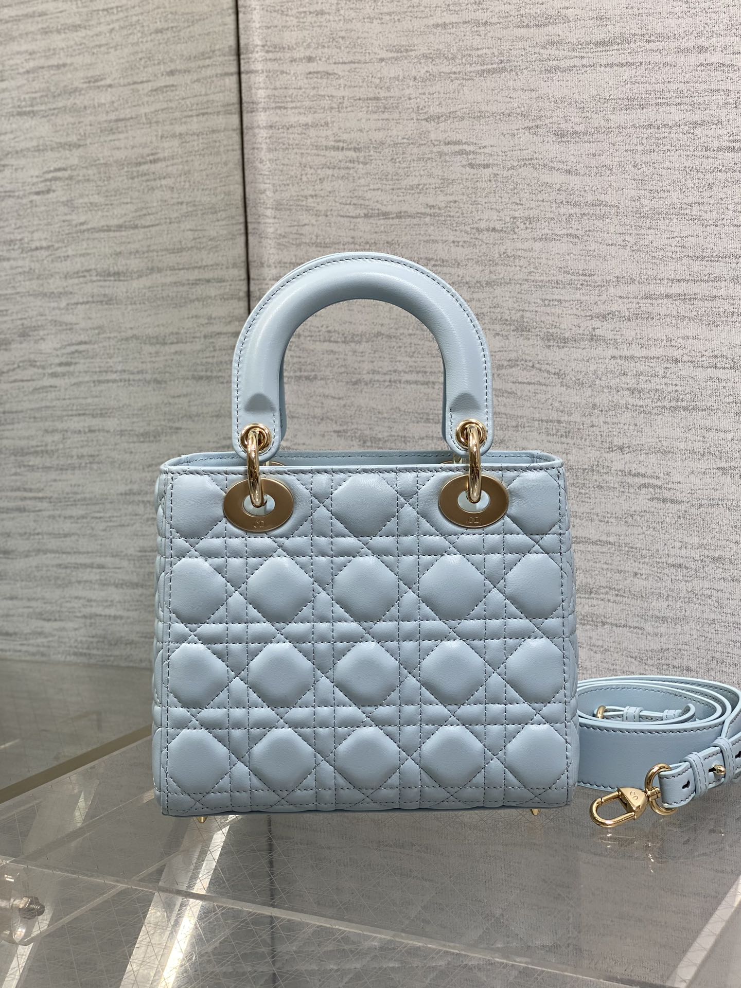 BAG-DIOR-W-LY-768