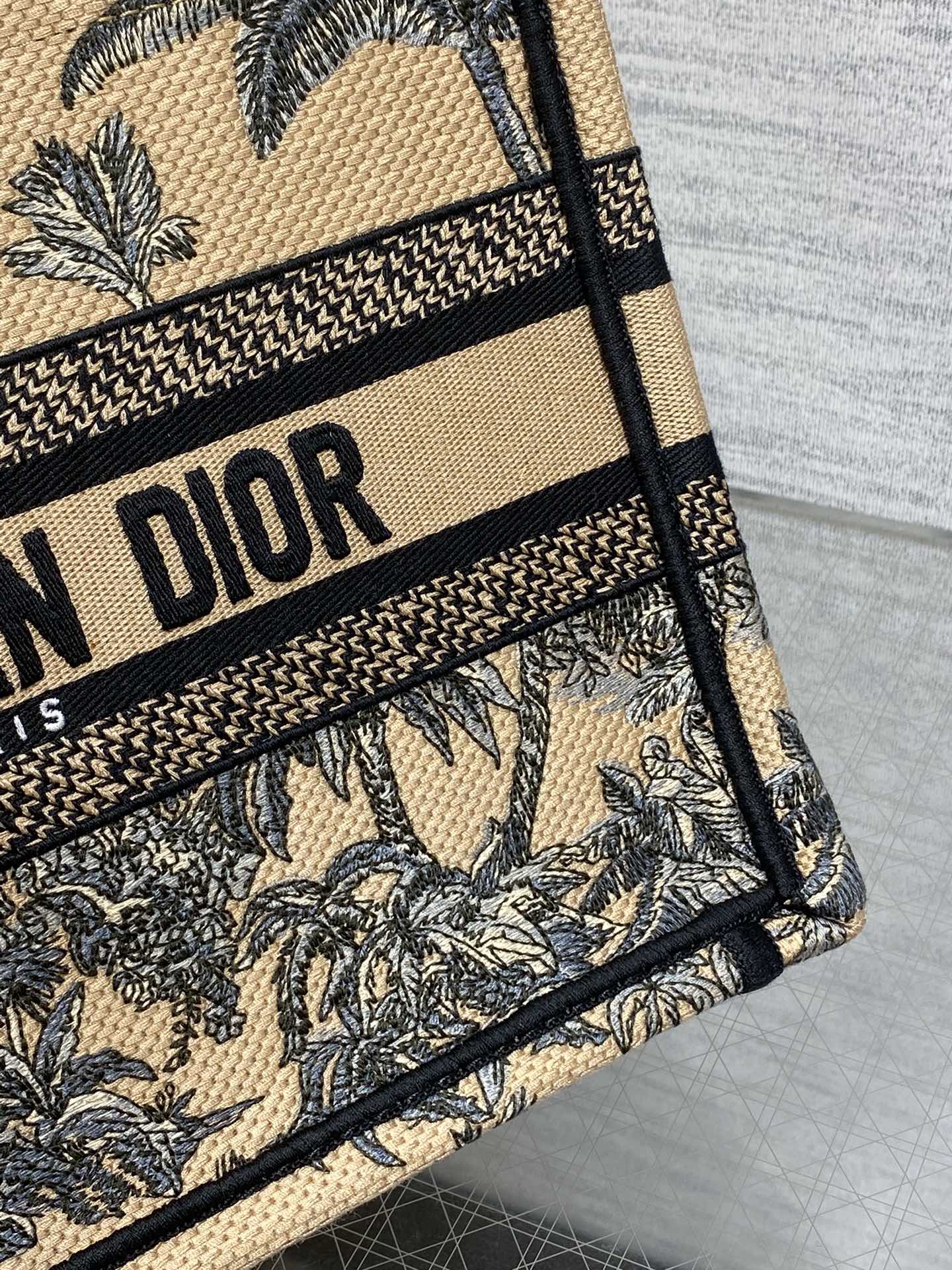 BAG-DIOR-W-LY-899