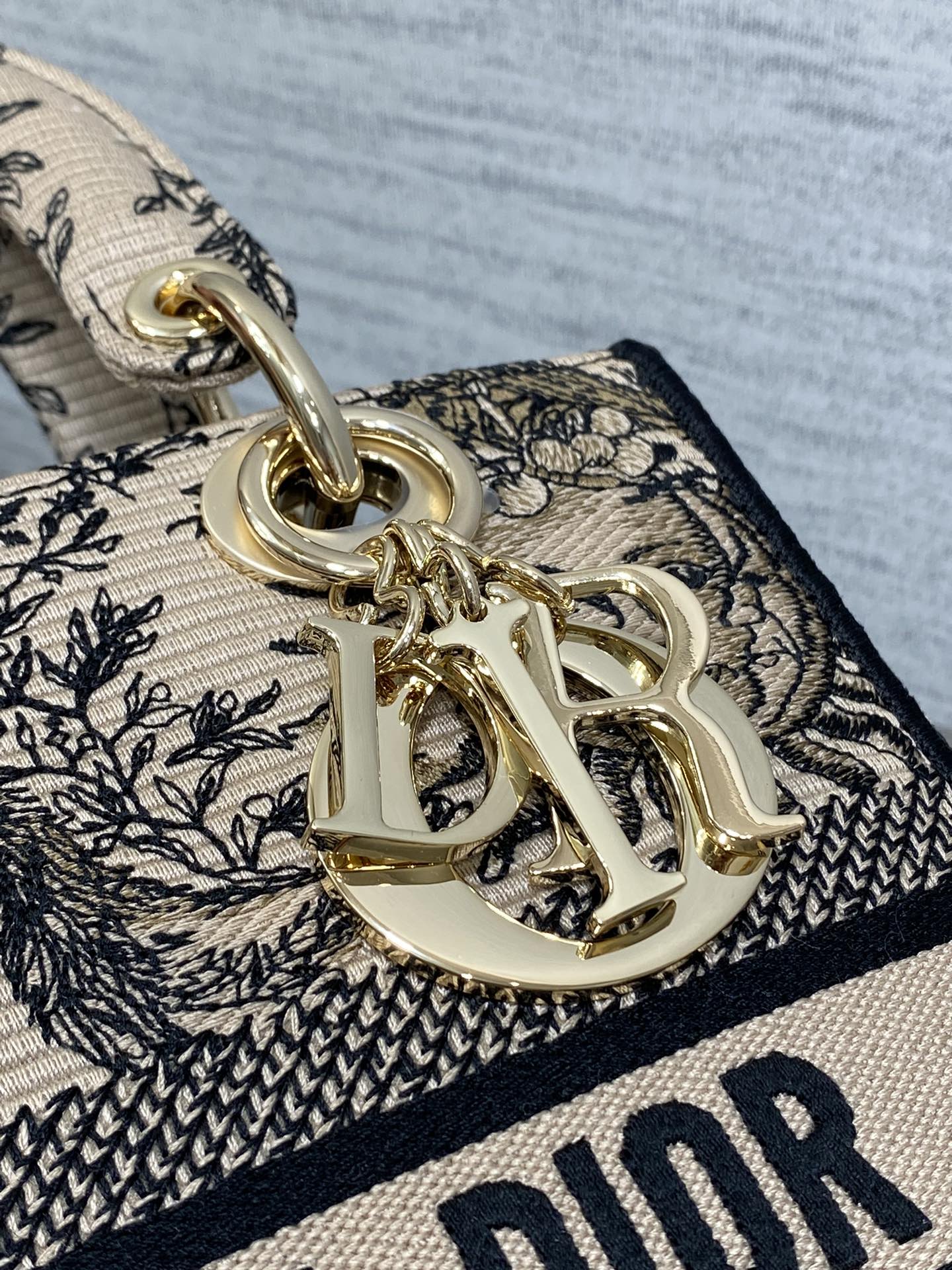 BAG-DIOR-W-LY-444