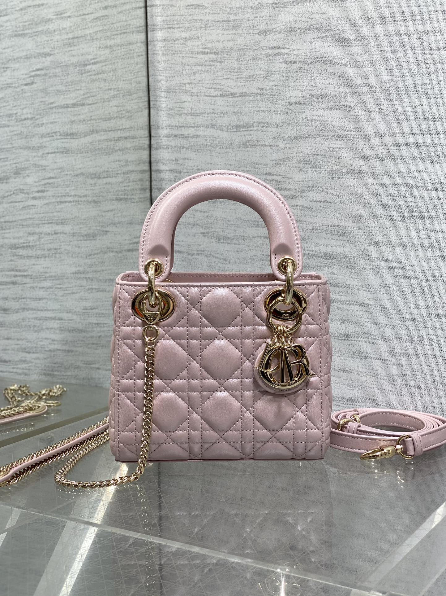 BAG-DIOR-W-LY-754