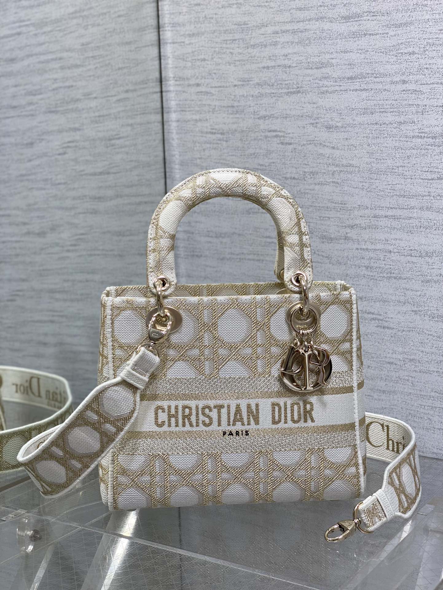 BAG-DIOR-W-LY-452
