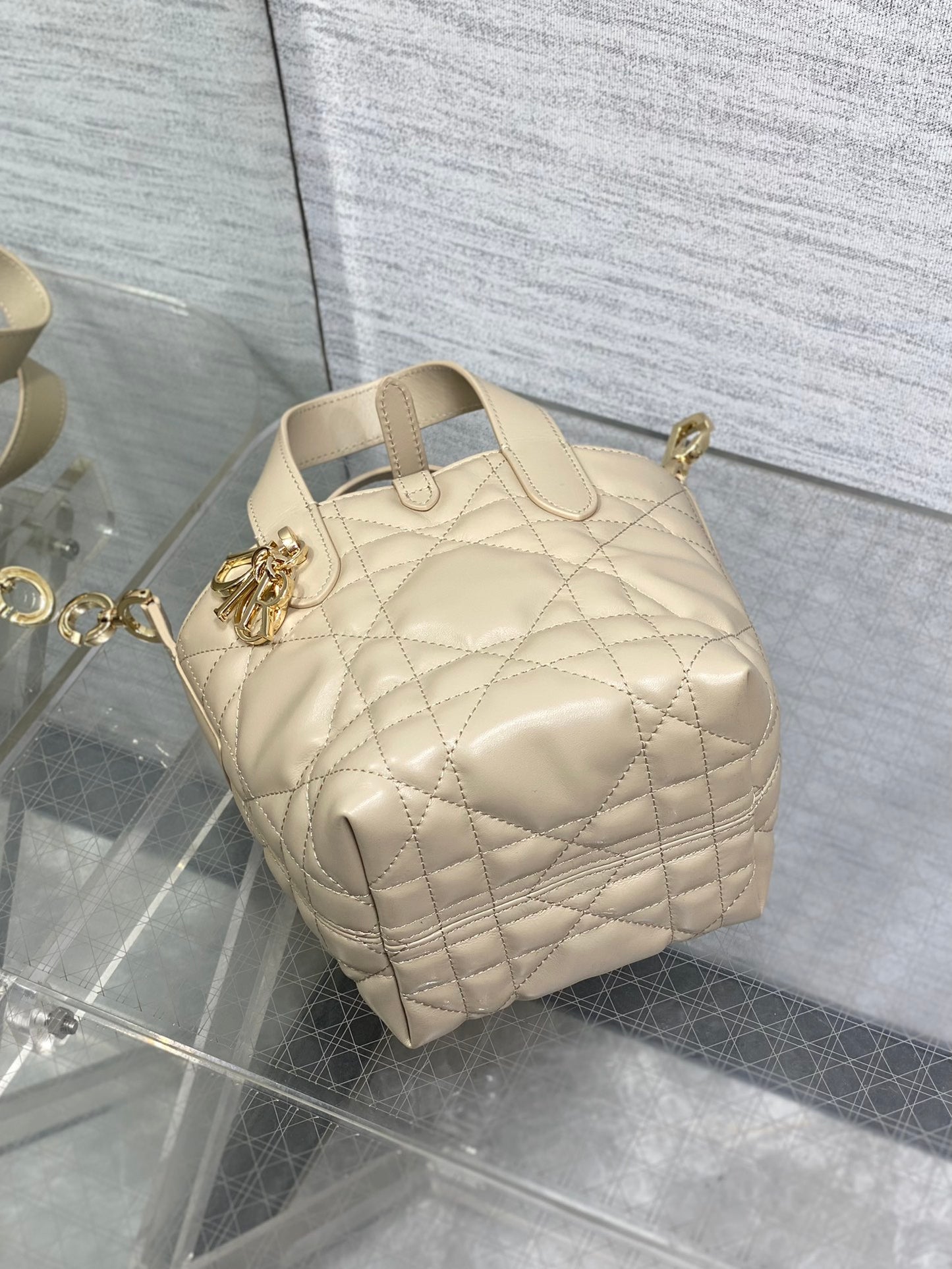 BAG-DIOR-W-LY-058