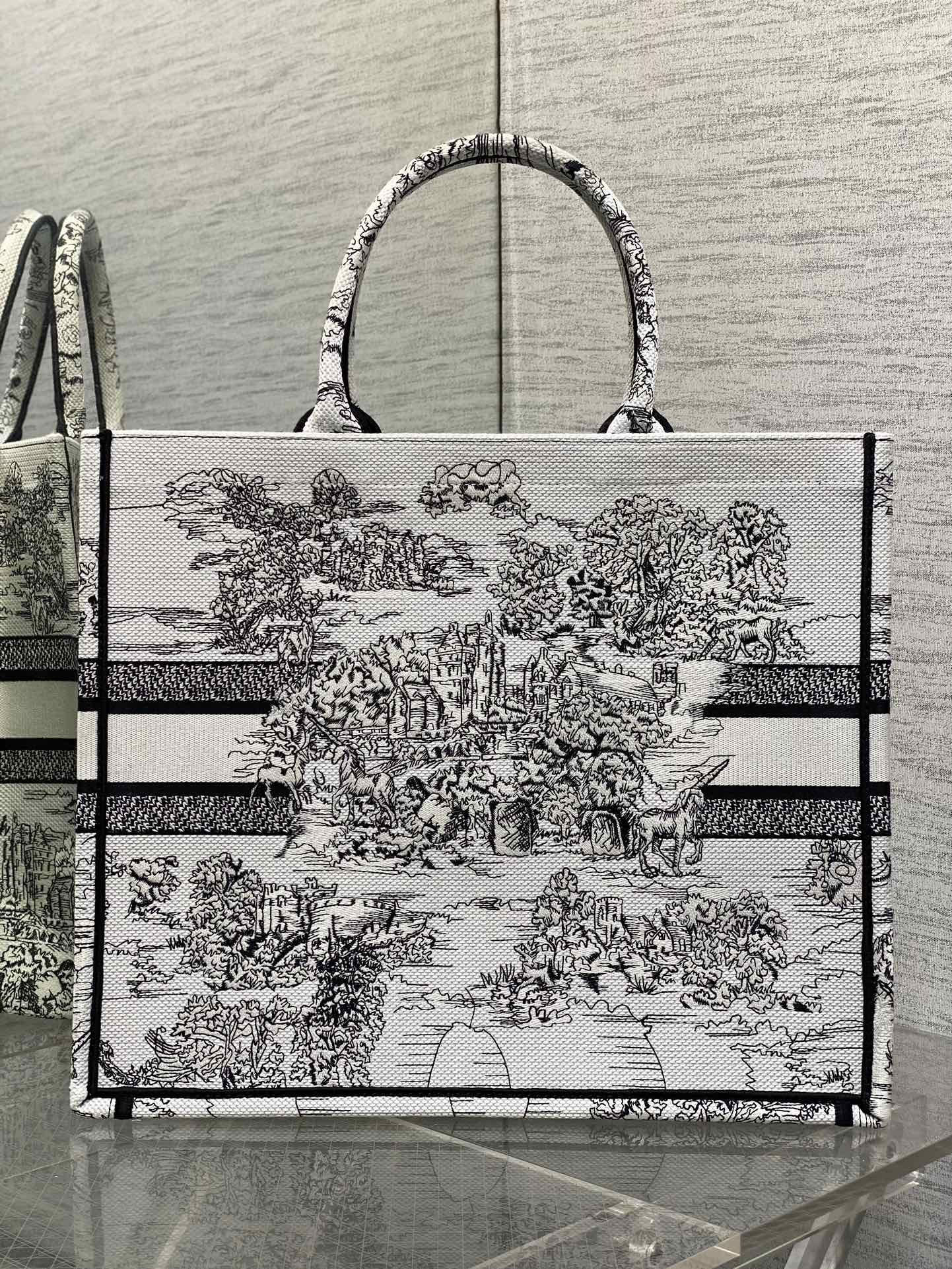 BAG-DIOR-W-LY-864