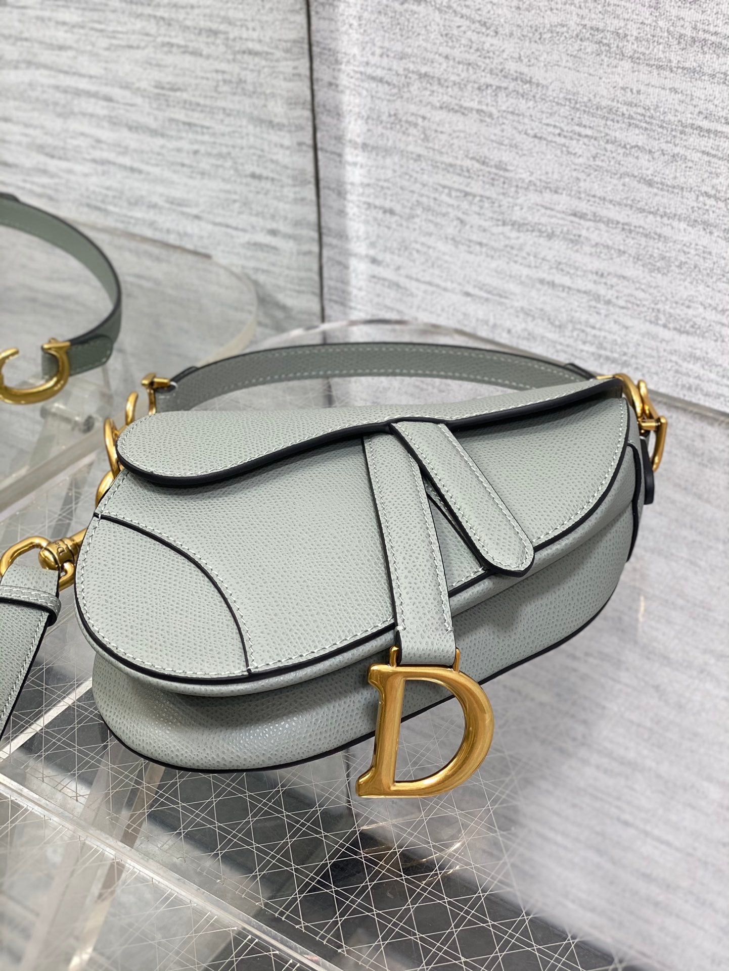 BAG-DIOR-W-LY-131