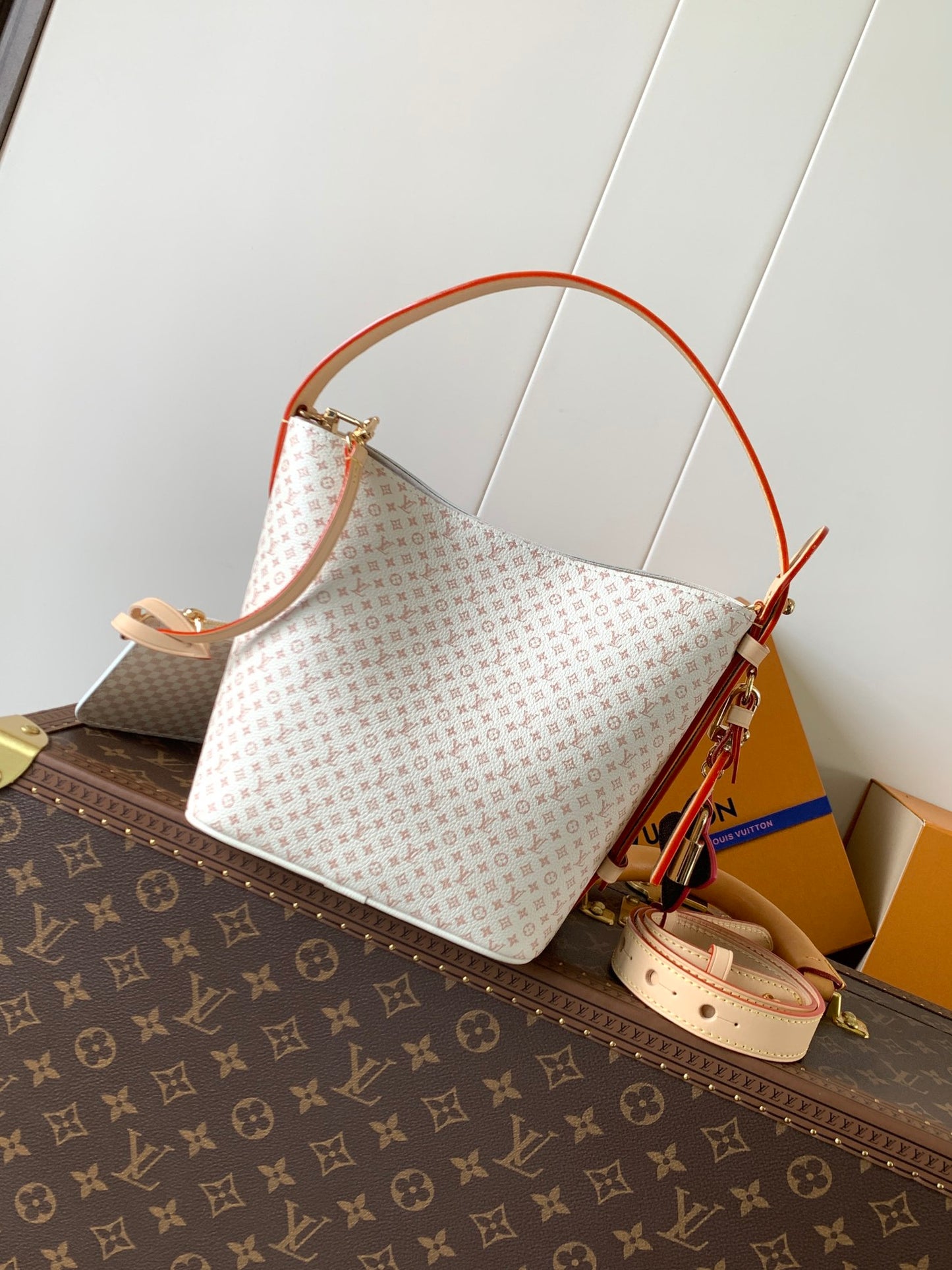 BAG-LV-W-NEW-954