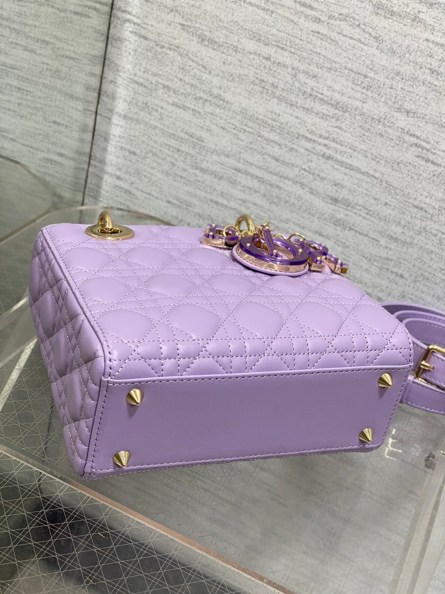 BAG-DIOR-W-LY-013