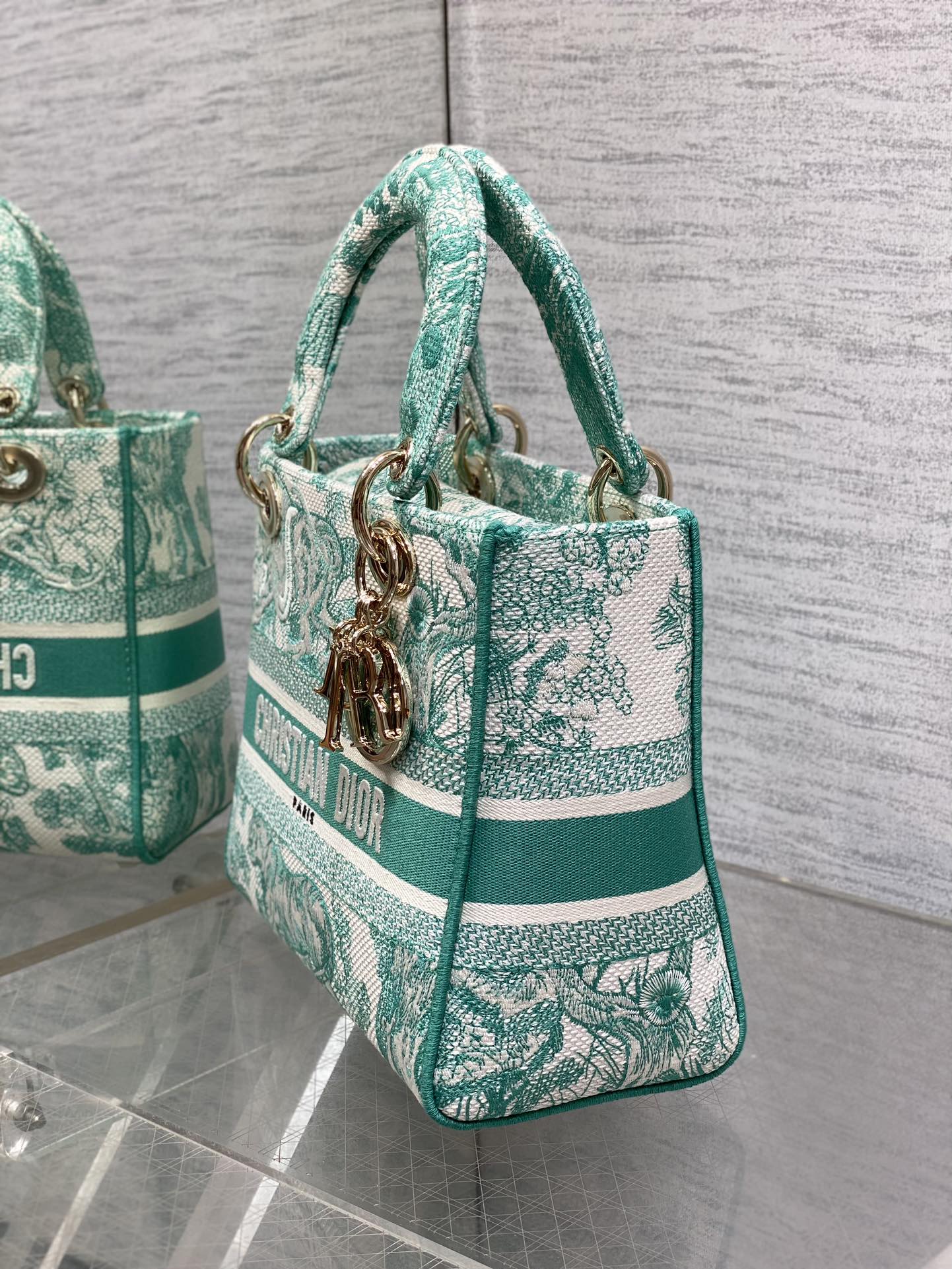 BAG-DIOR-W-LY-070