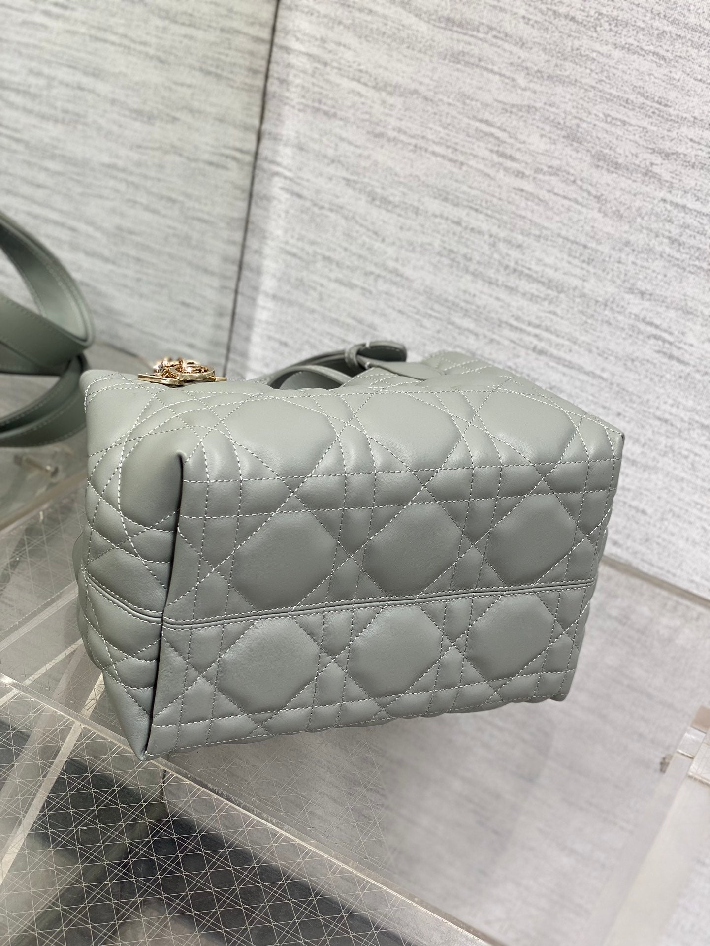 BAG-DIOR-W-LY-229