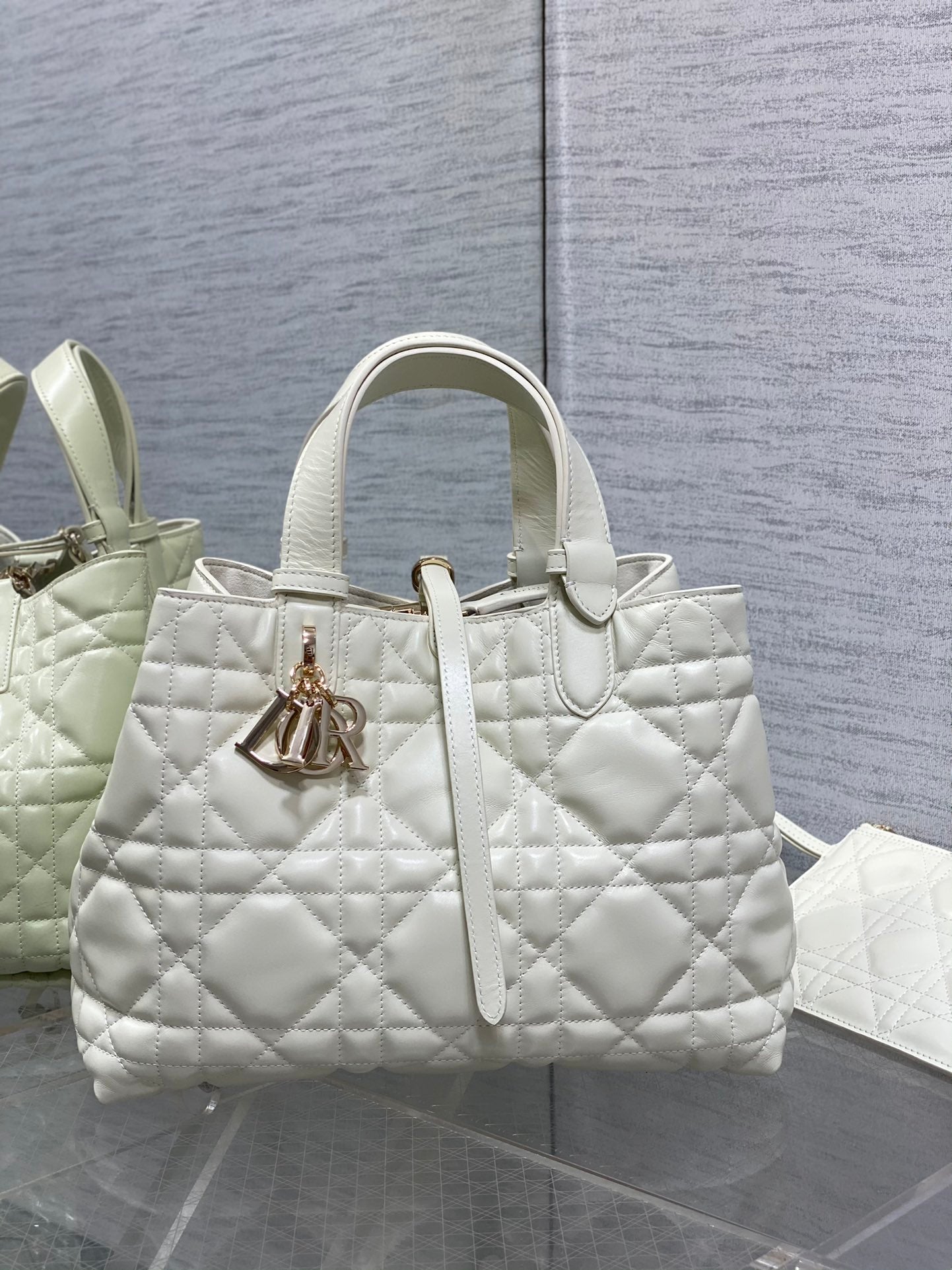 BAG-DIOR-W-LY-054