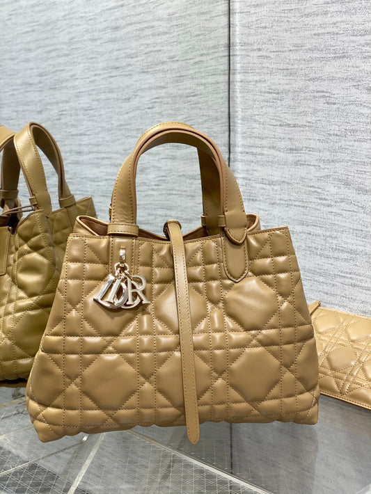 BAG-DIOR-W-LY-170