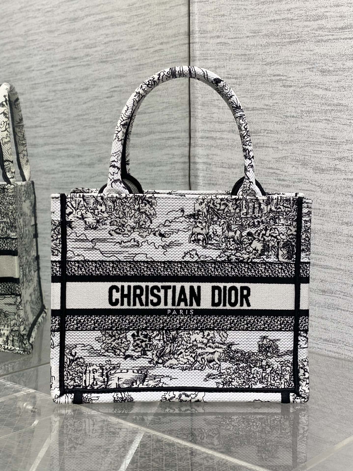 BAG-DIOR-W-LY-862
