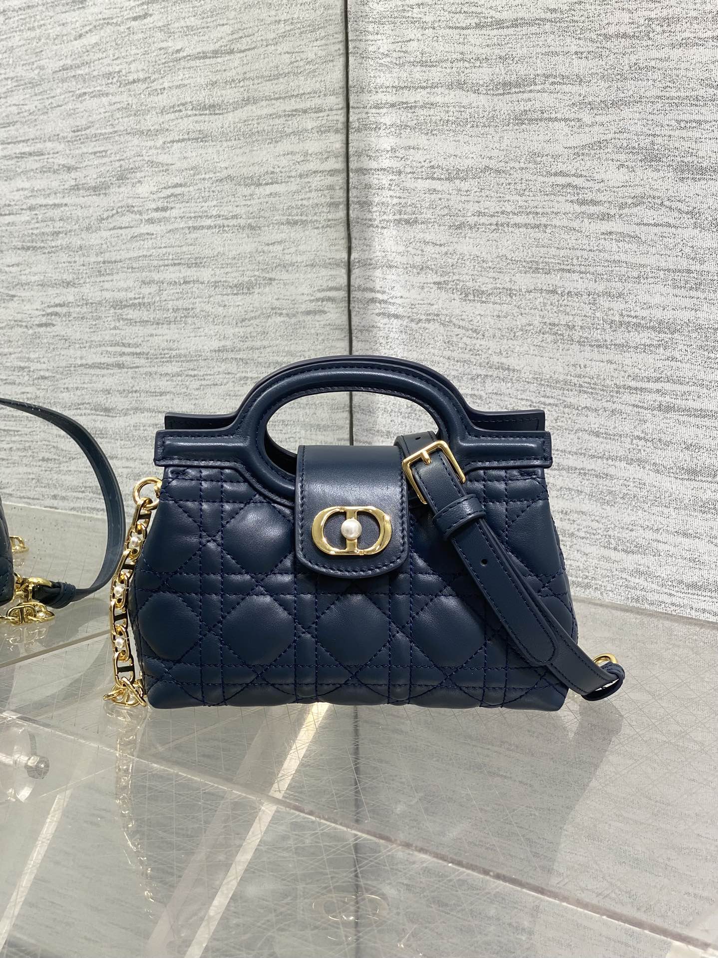 BAG-DIOR-W-LY-025