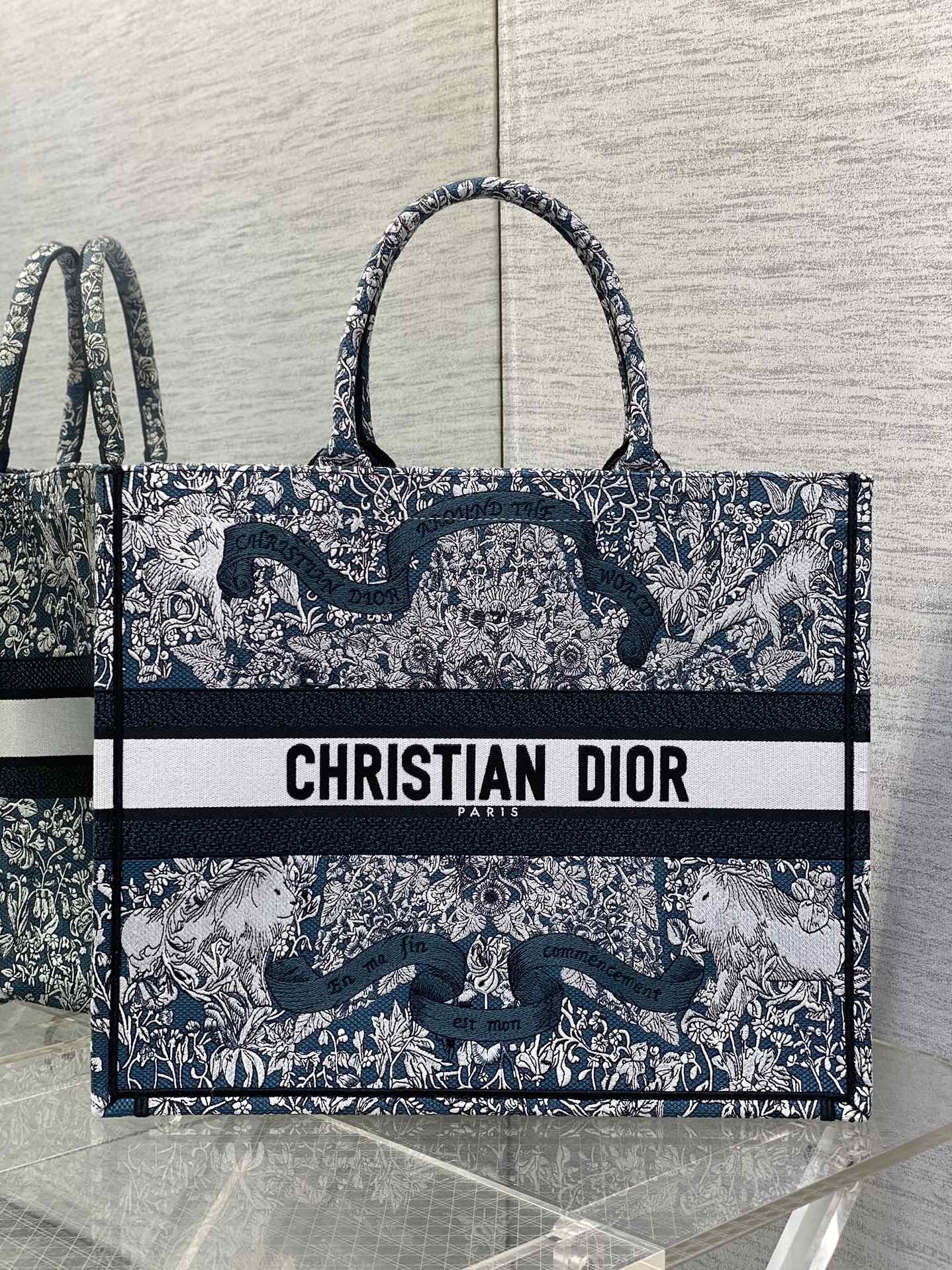 BAG-DIOR-W-LY-848